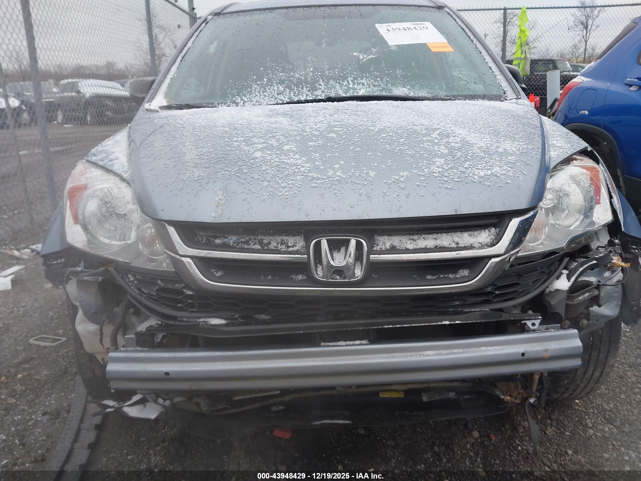 HONDA CR-V image 6