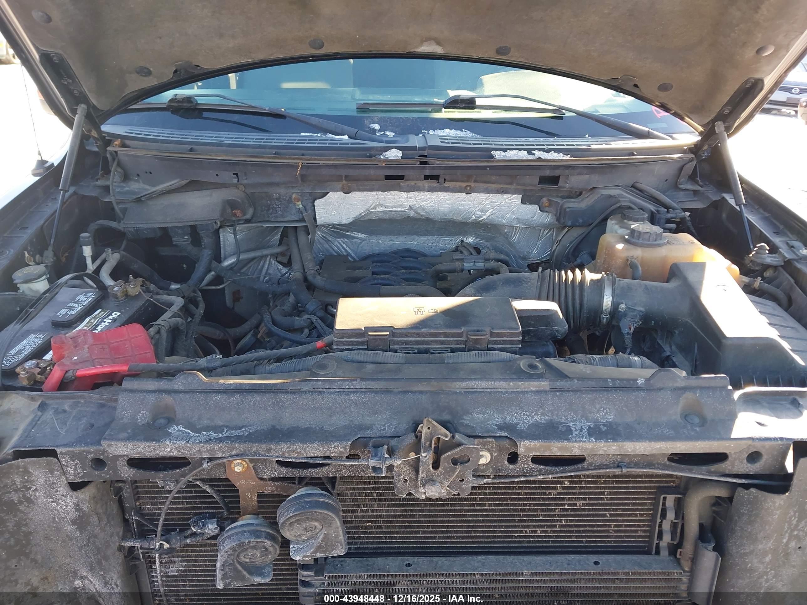 FORD F-150 image 10