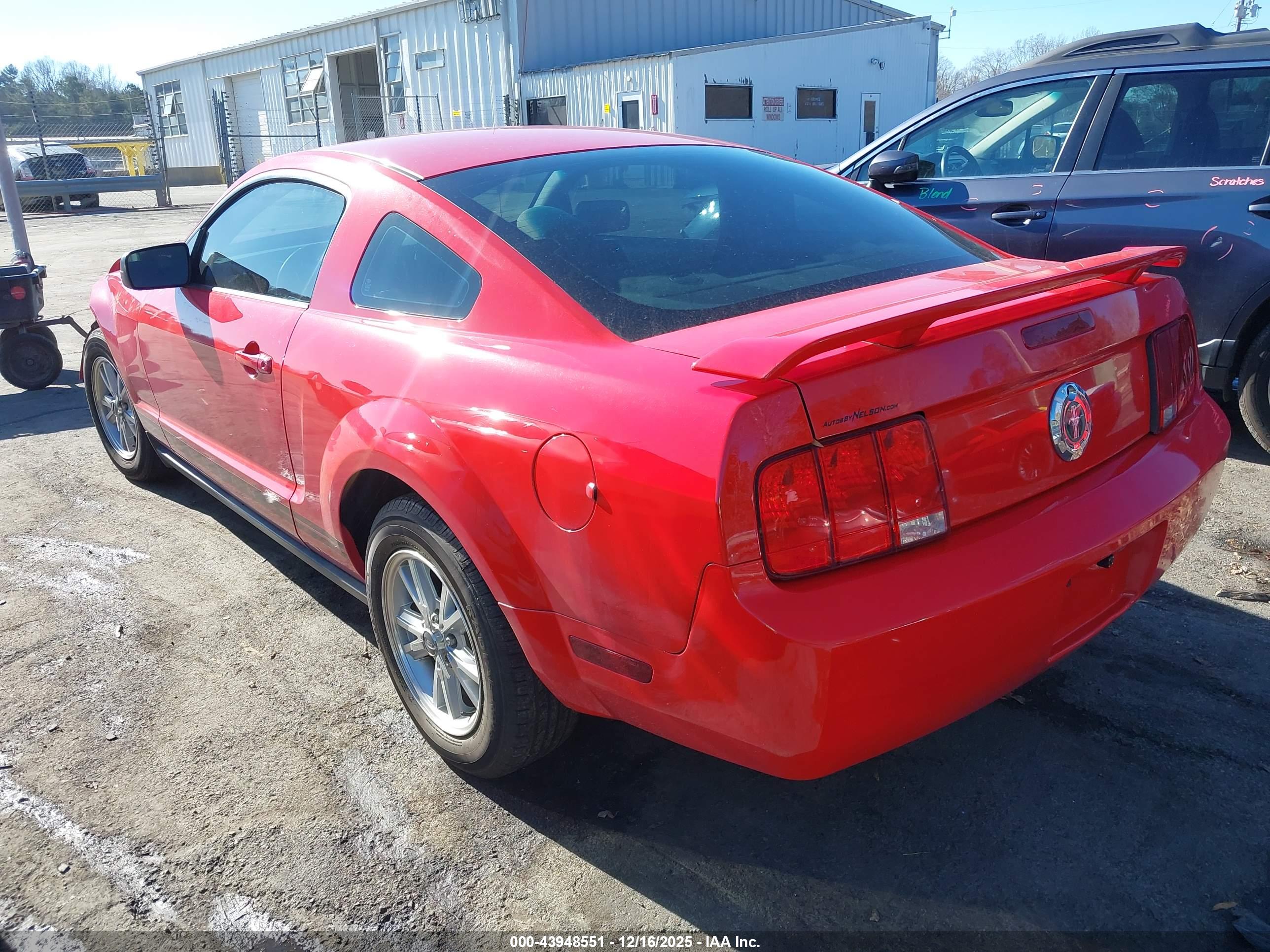 FORD MUSTANG image 3