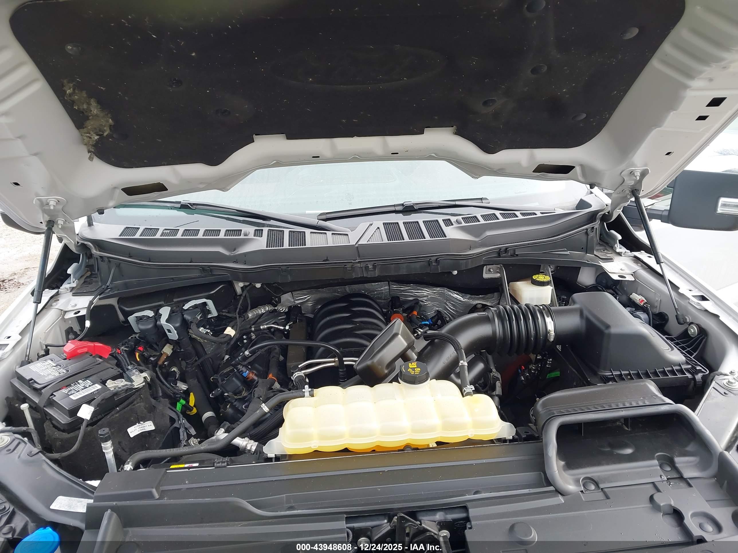FORD F-150 image 10