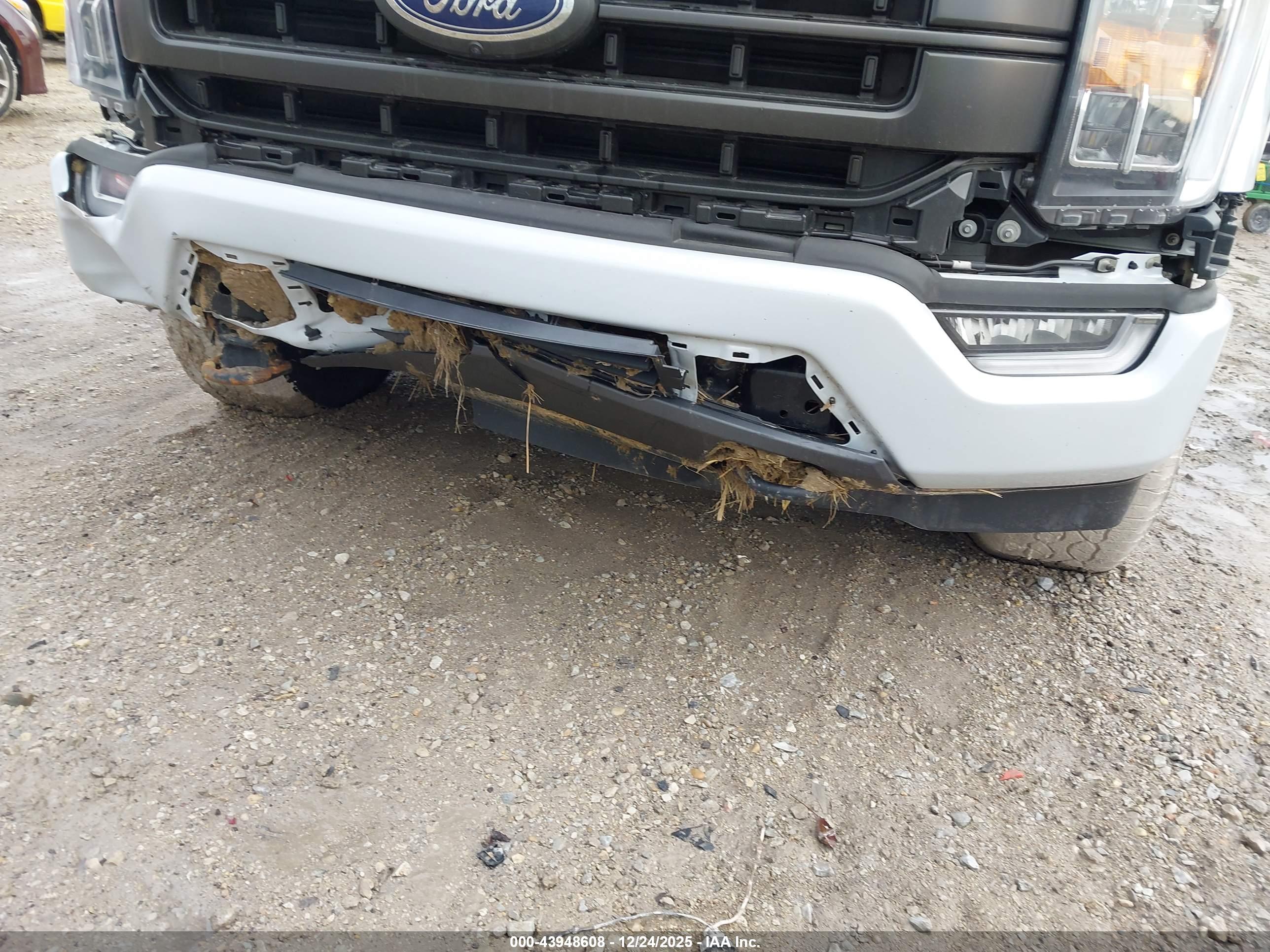 FORD F-150 image 6