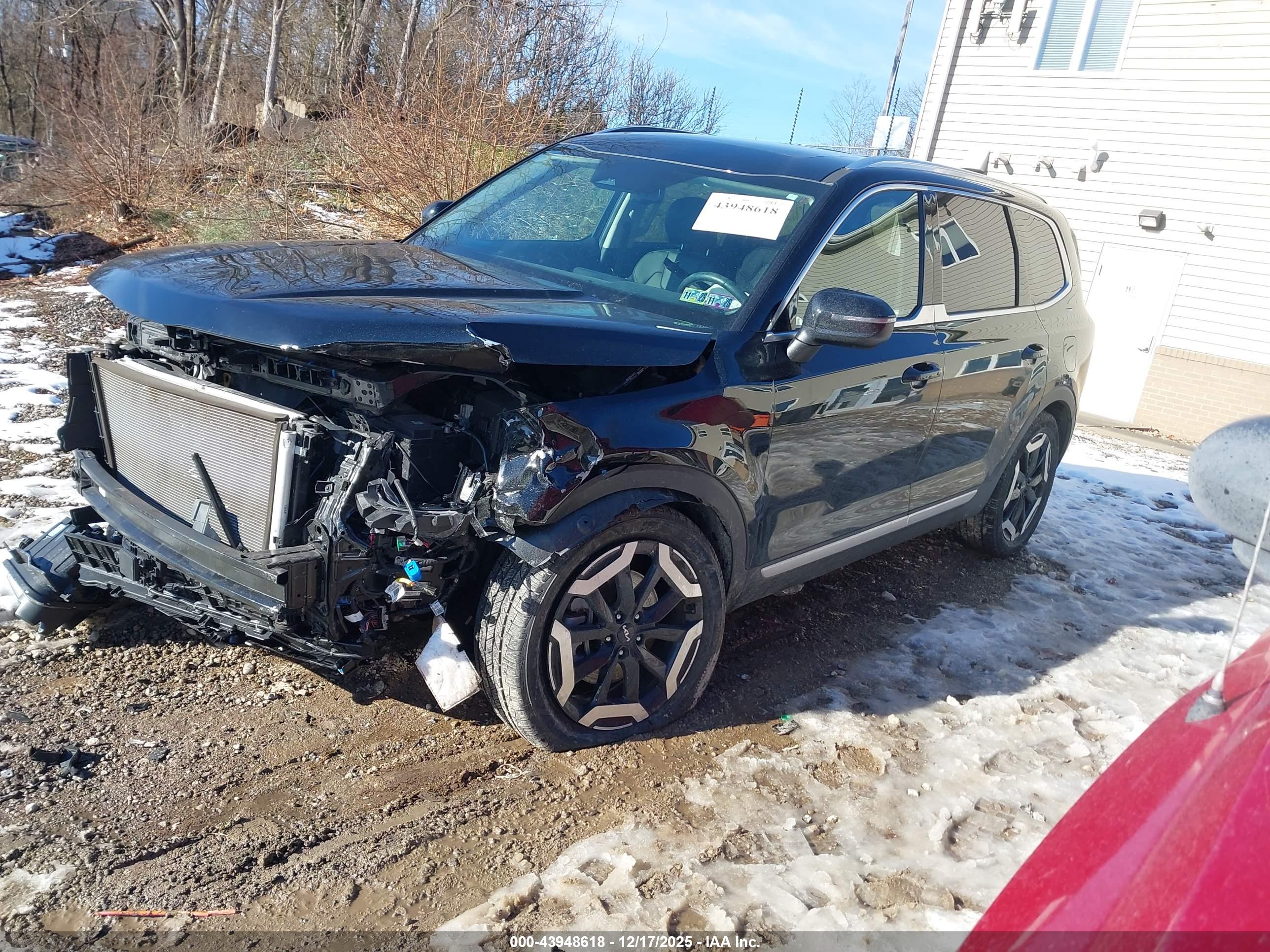 KIA TELLURIDE image 2