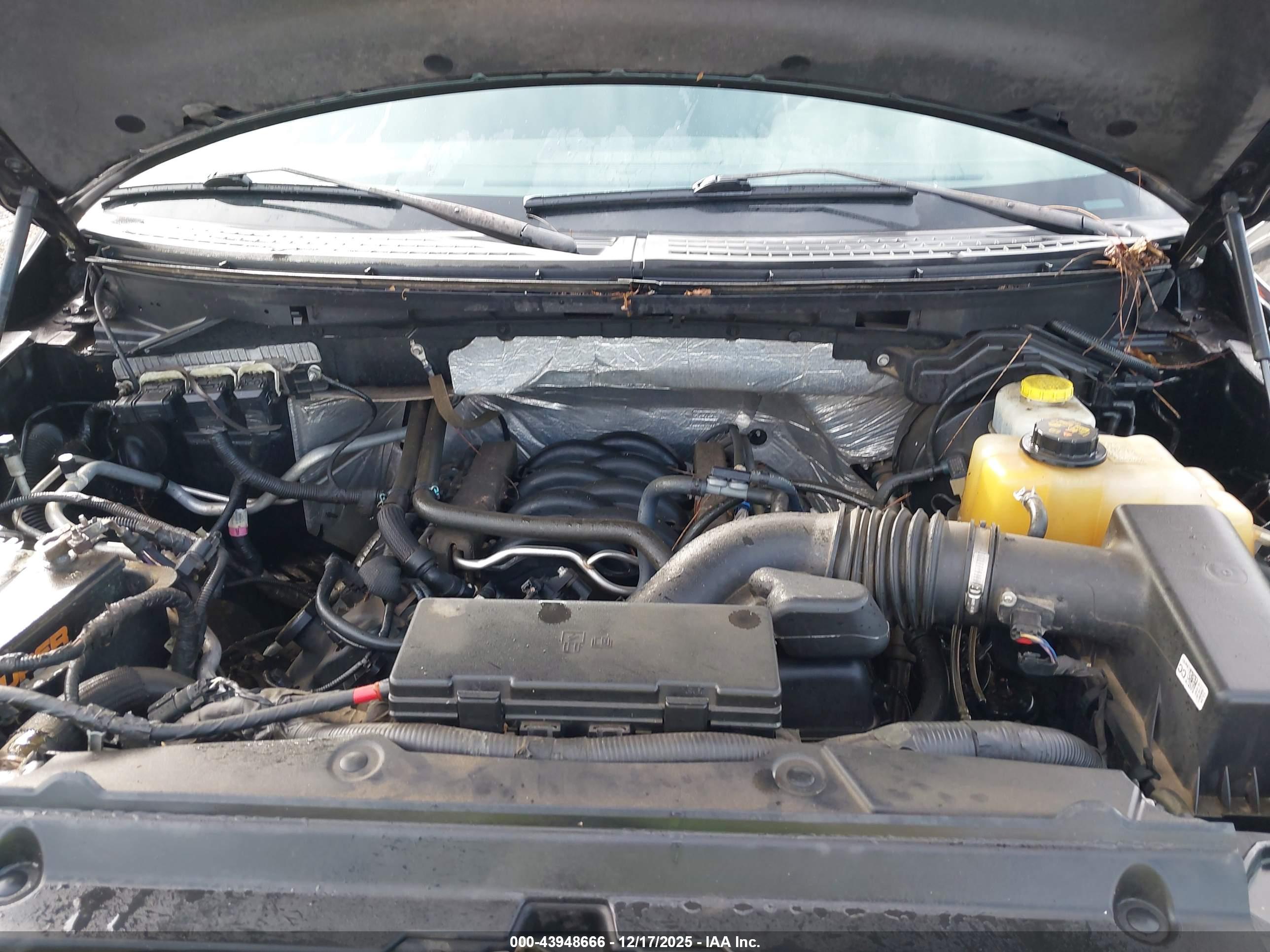 FORD F-150 image 10