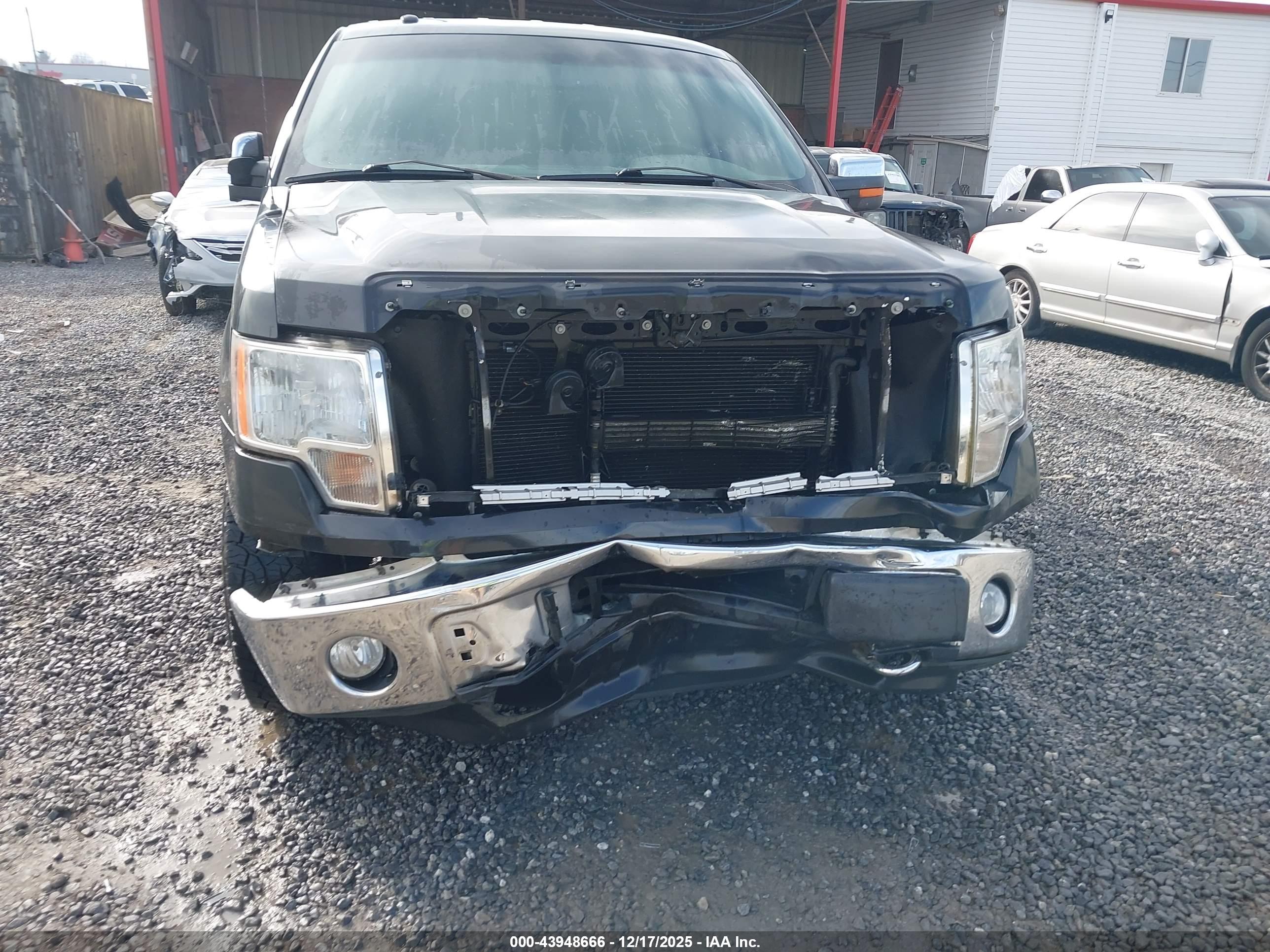 FORD F-150 image 6