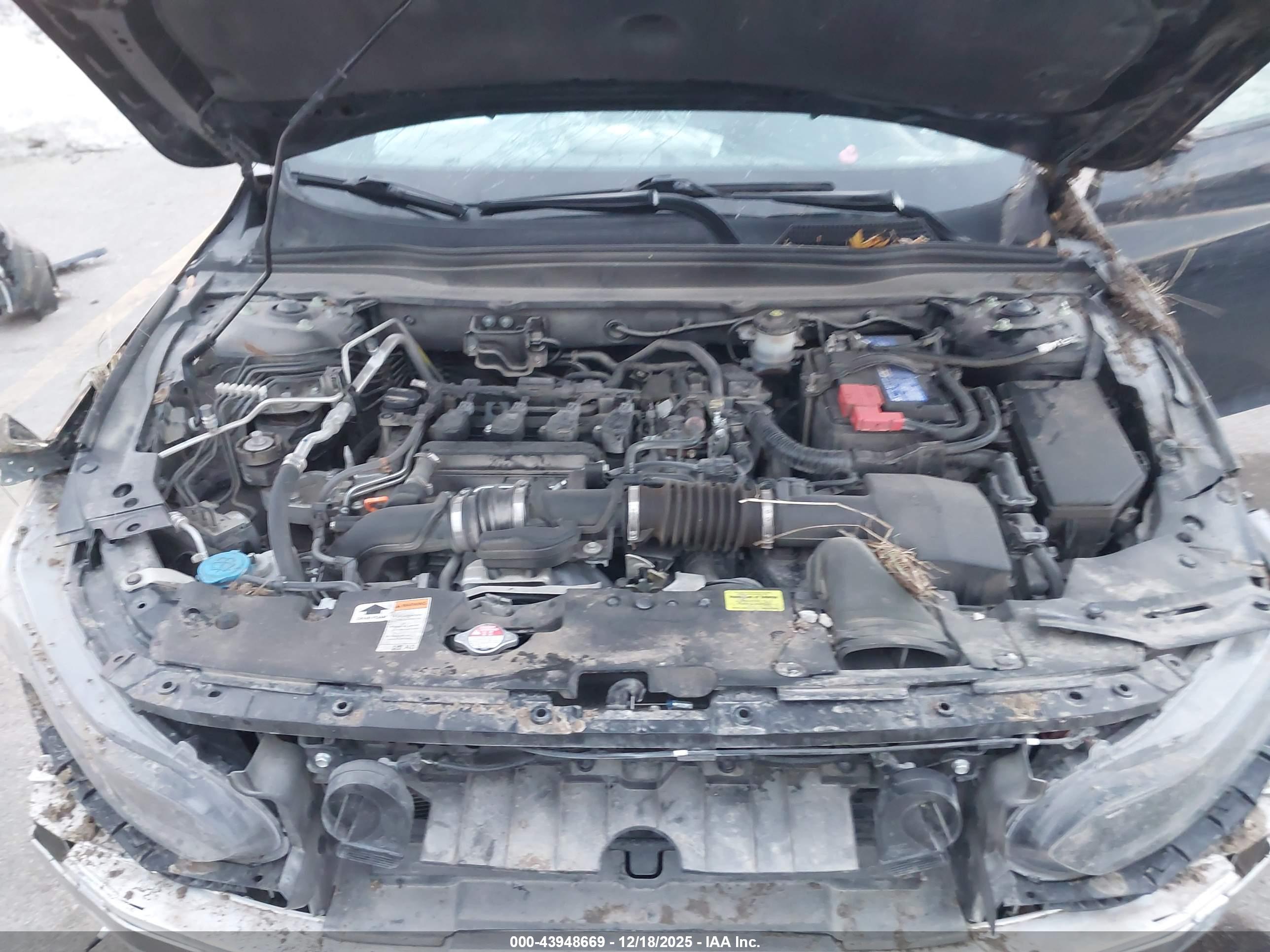 HONDA ACCORD image 10
