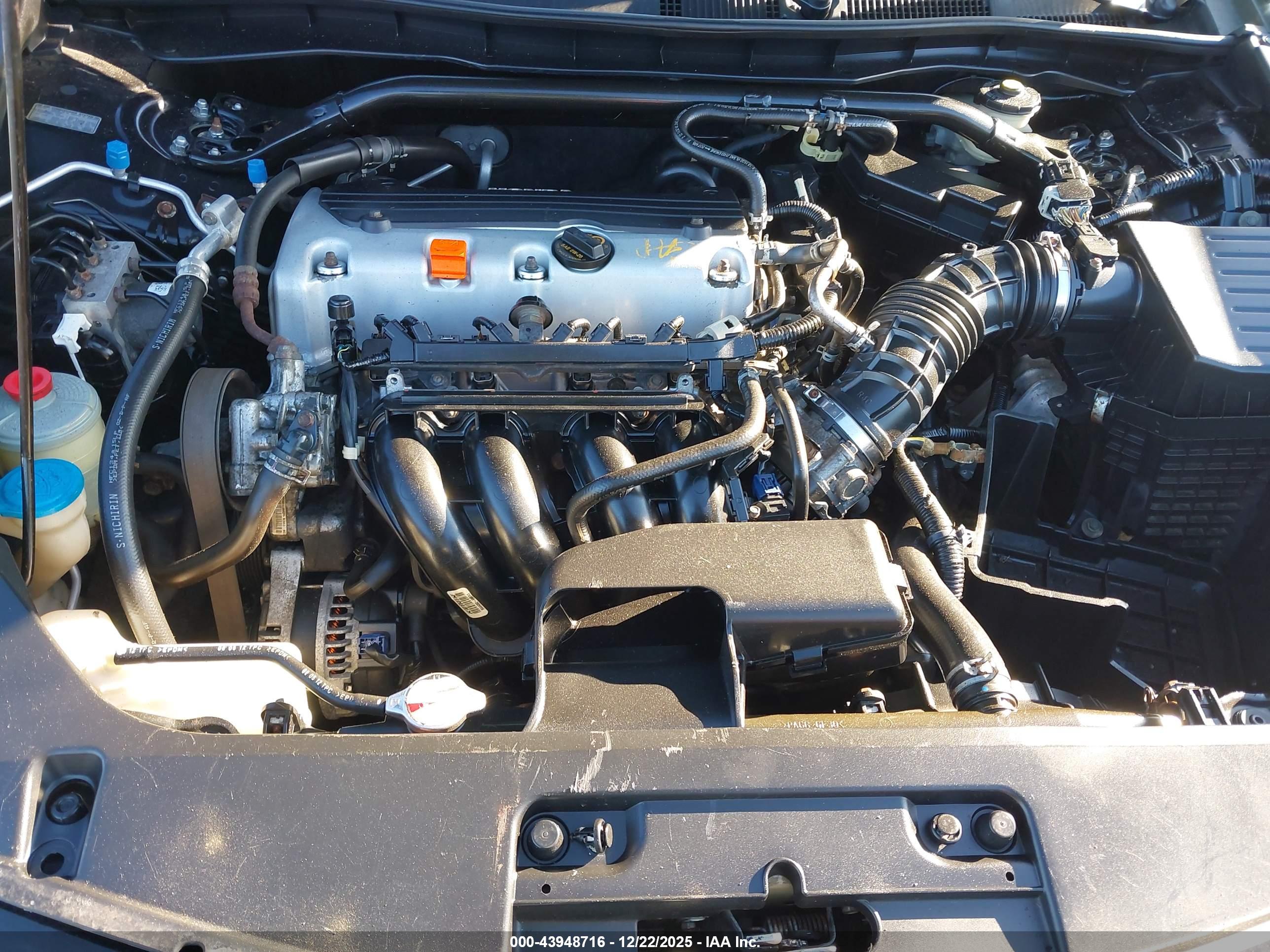 HONDA ACCORD image 10
