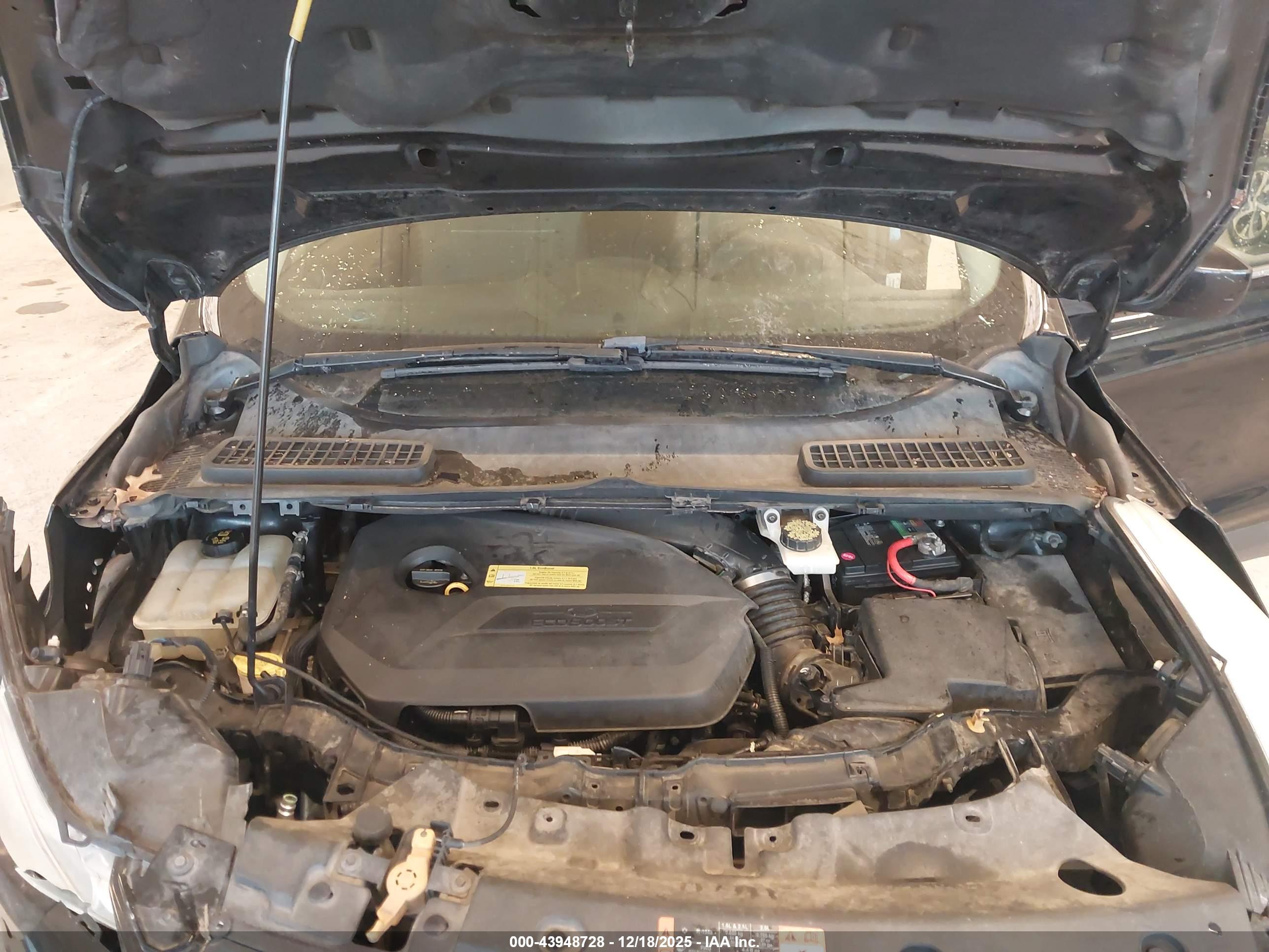 FORD ESCAPE image 10