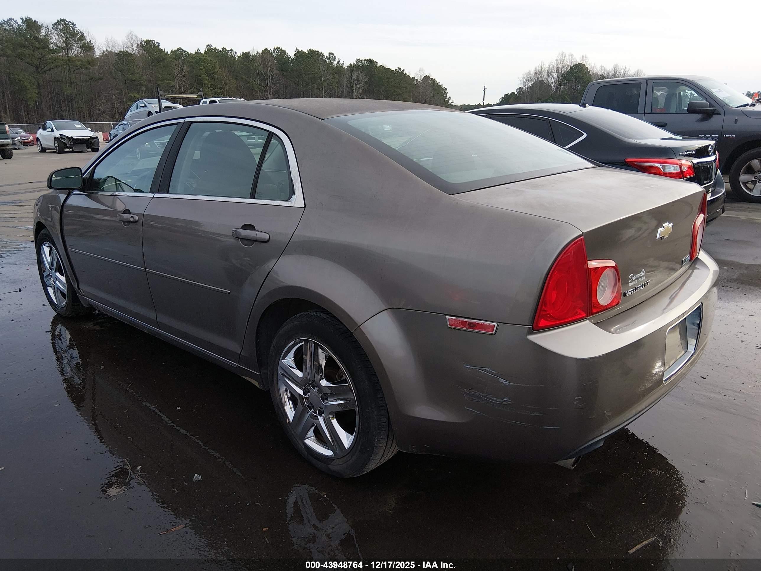 CHEVROLET MALIBU image 3