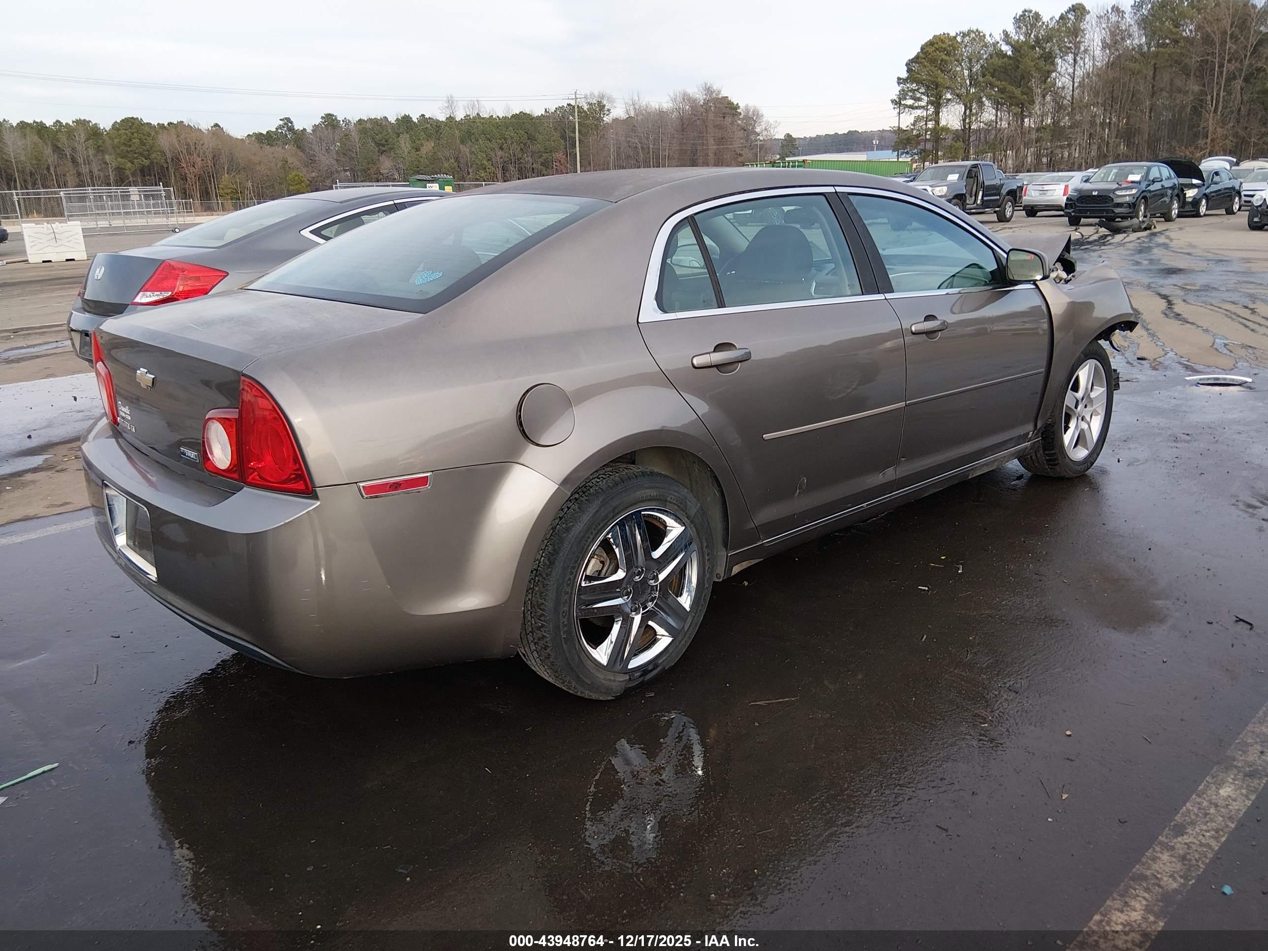 CHEVROLET MALIBU image 4