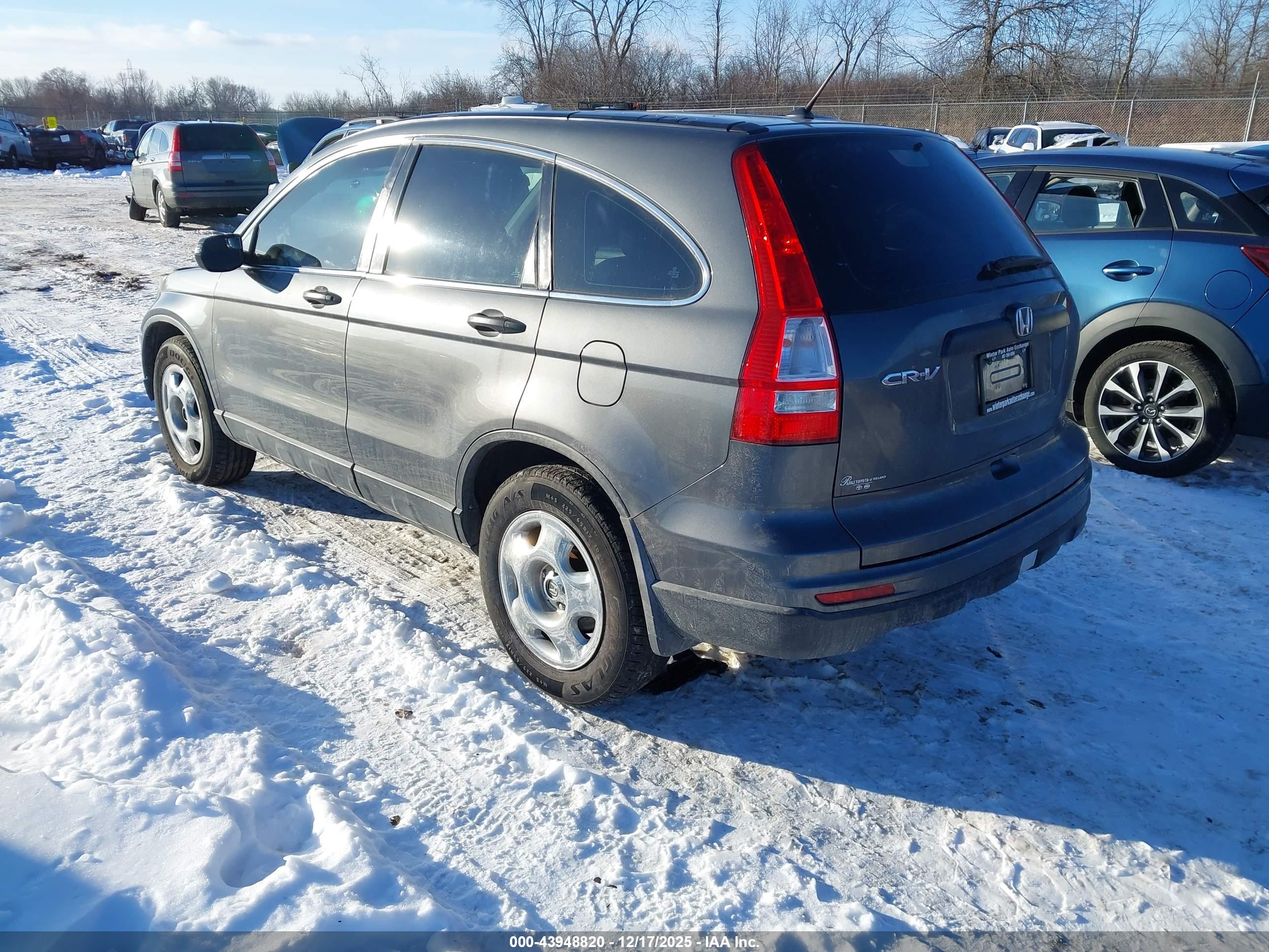 HONDA CR-V image 3