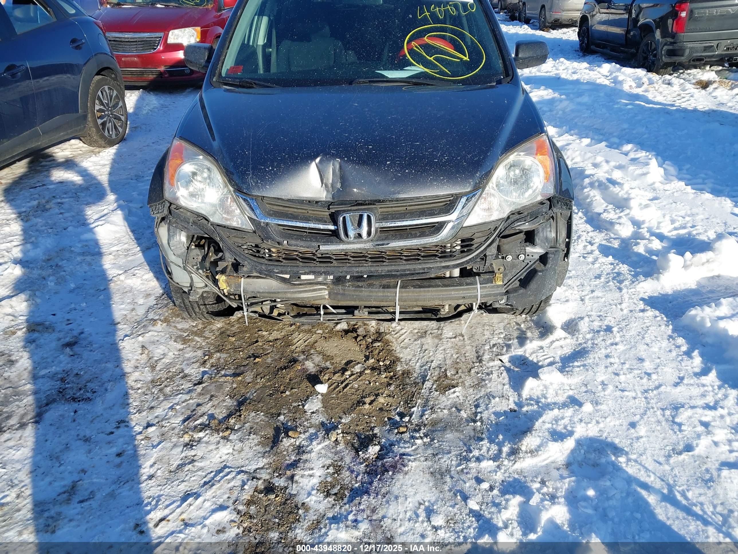HONDA CR-V image 6