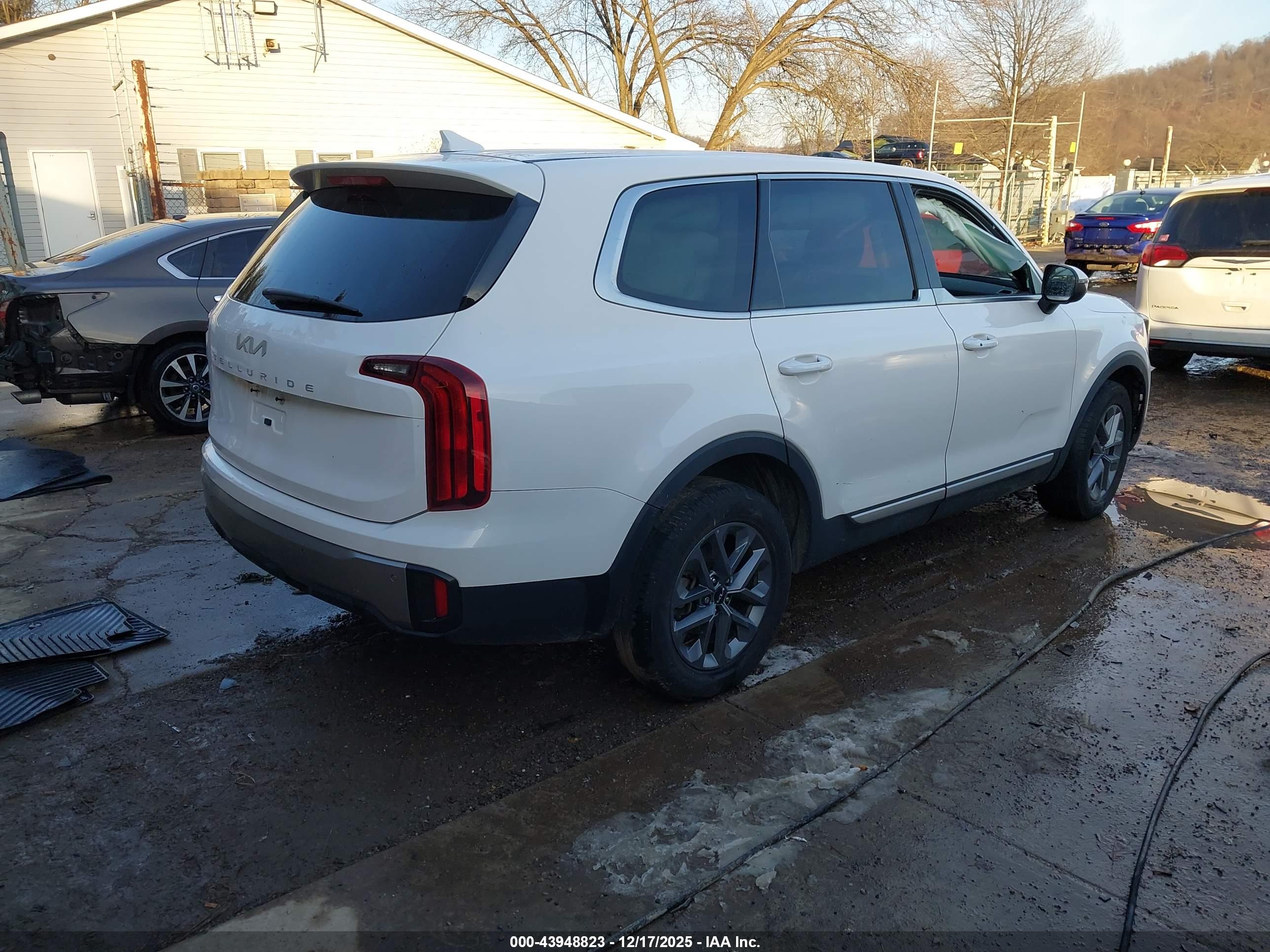 KIA TELLURIDE image 4