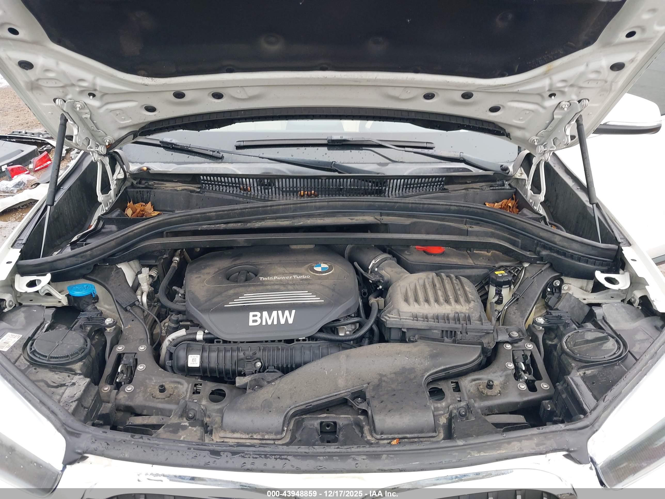 BMW X1 image 10