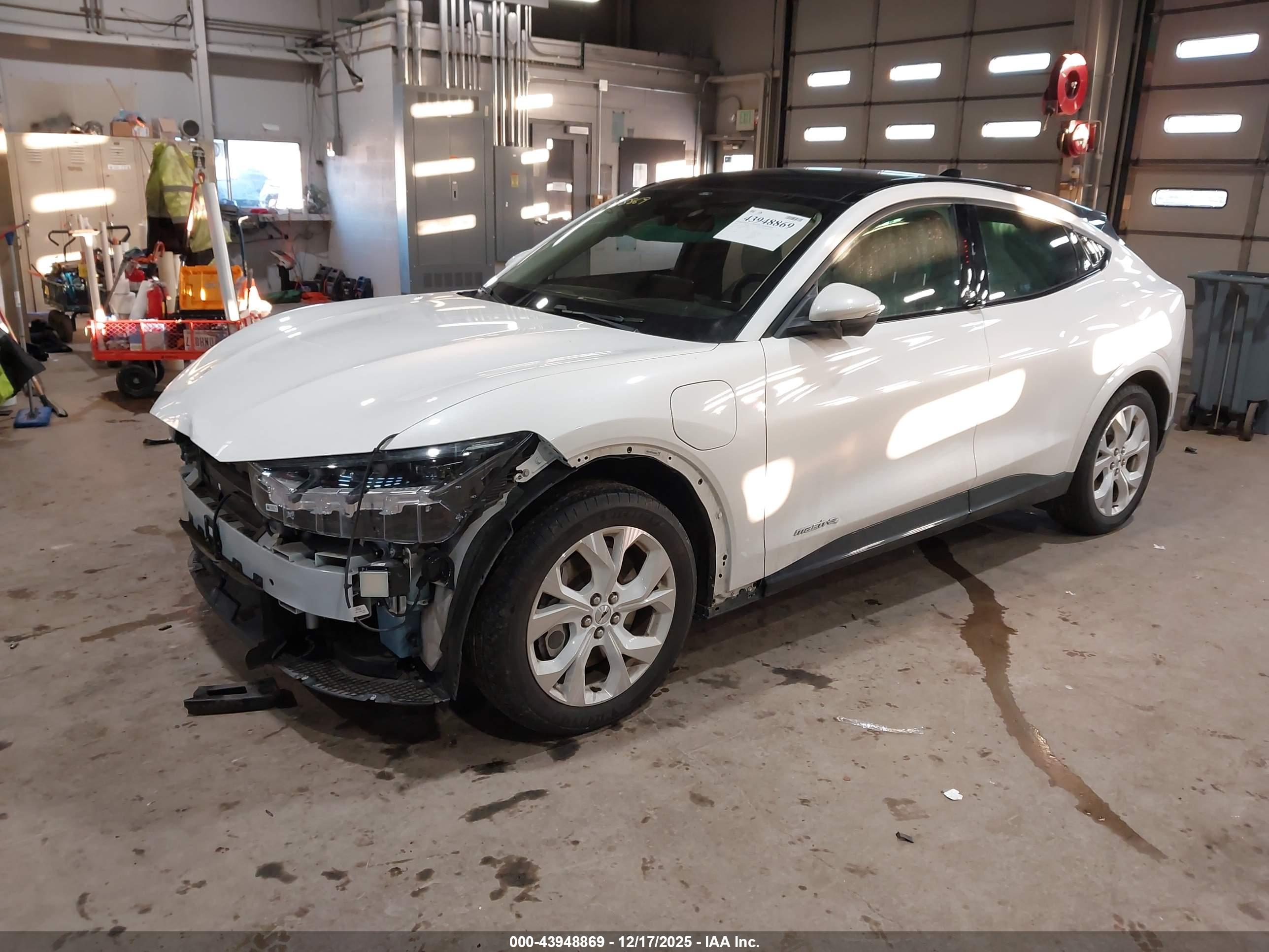 FORD MUSTANG image 2