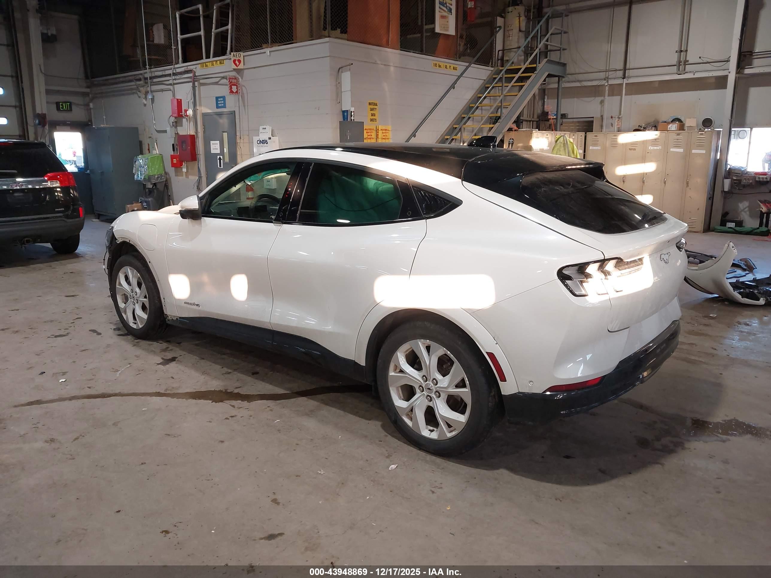 FORD MUSTANG image 3