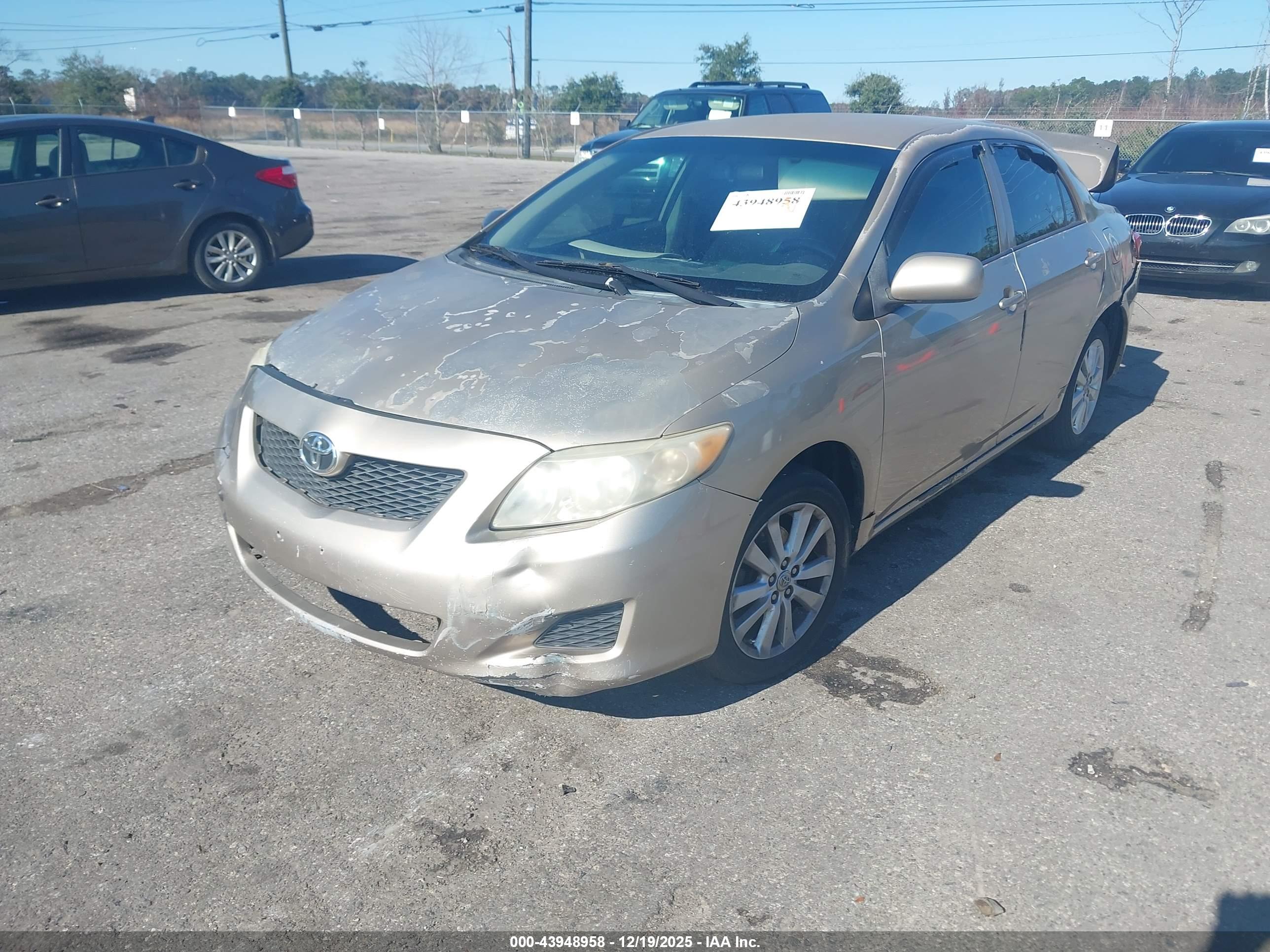 TOYOTA COROLLA image 2