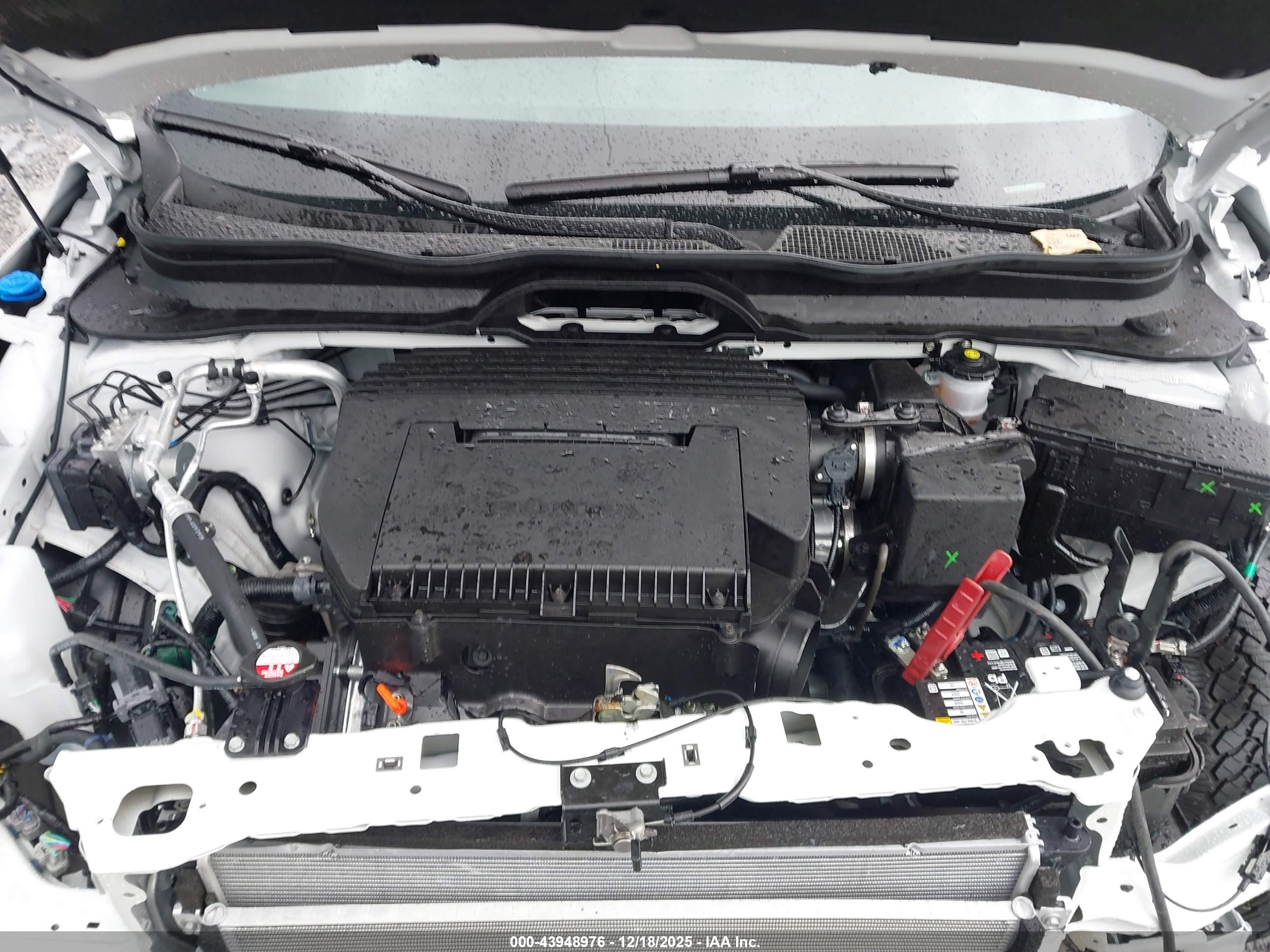 HONDA PASSPORT image 10