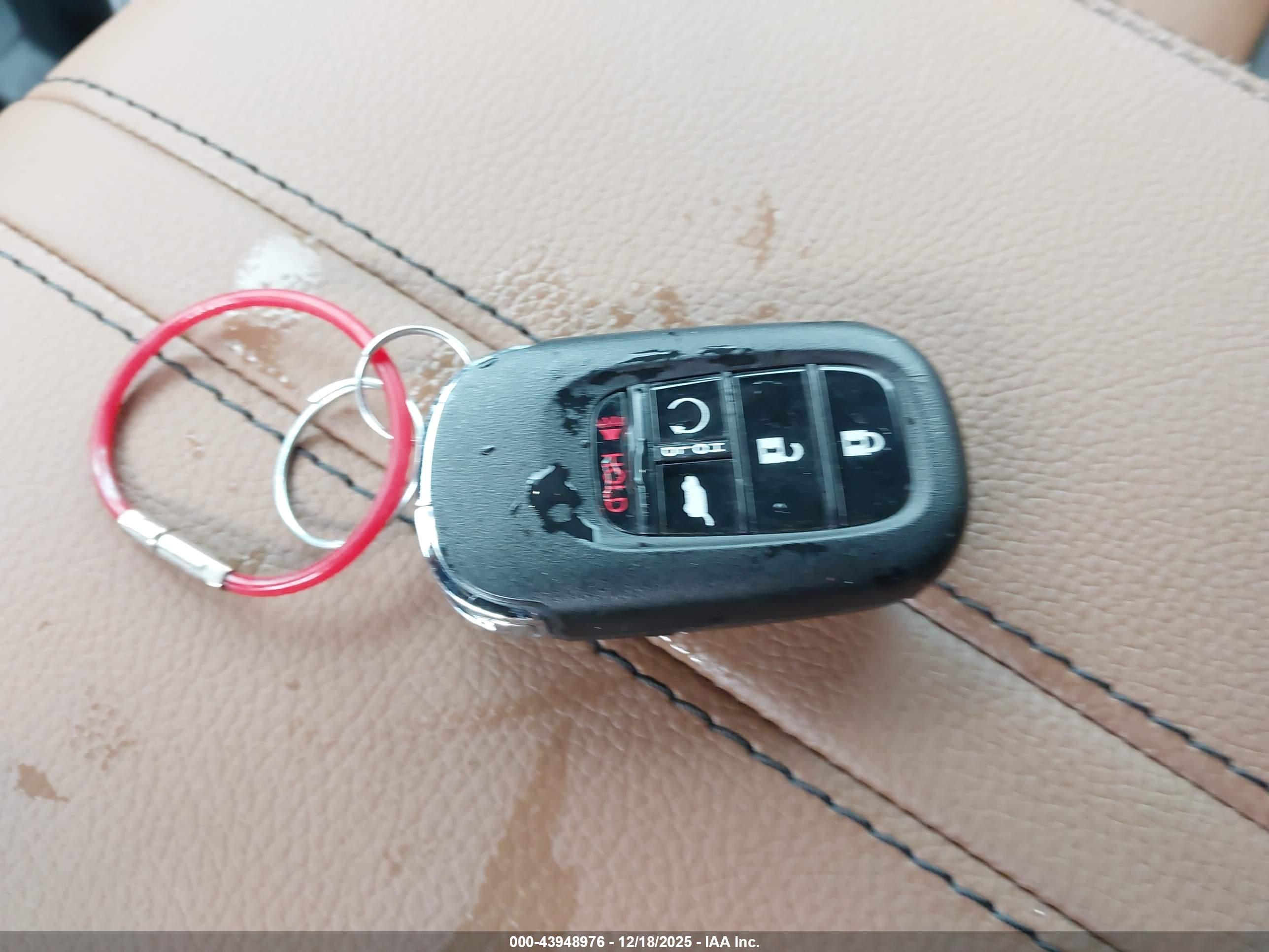 HONDA PASSPORT image 11