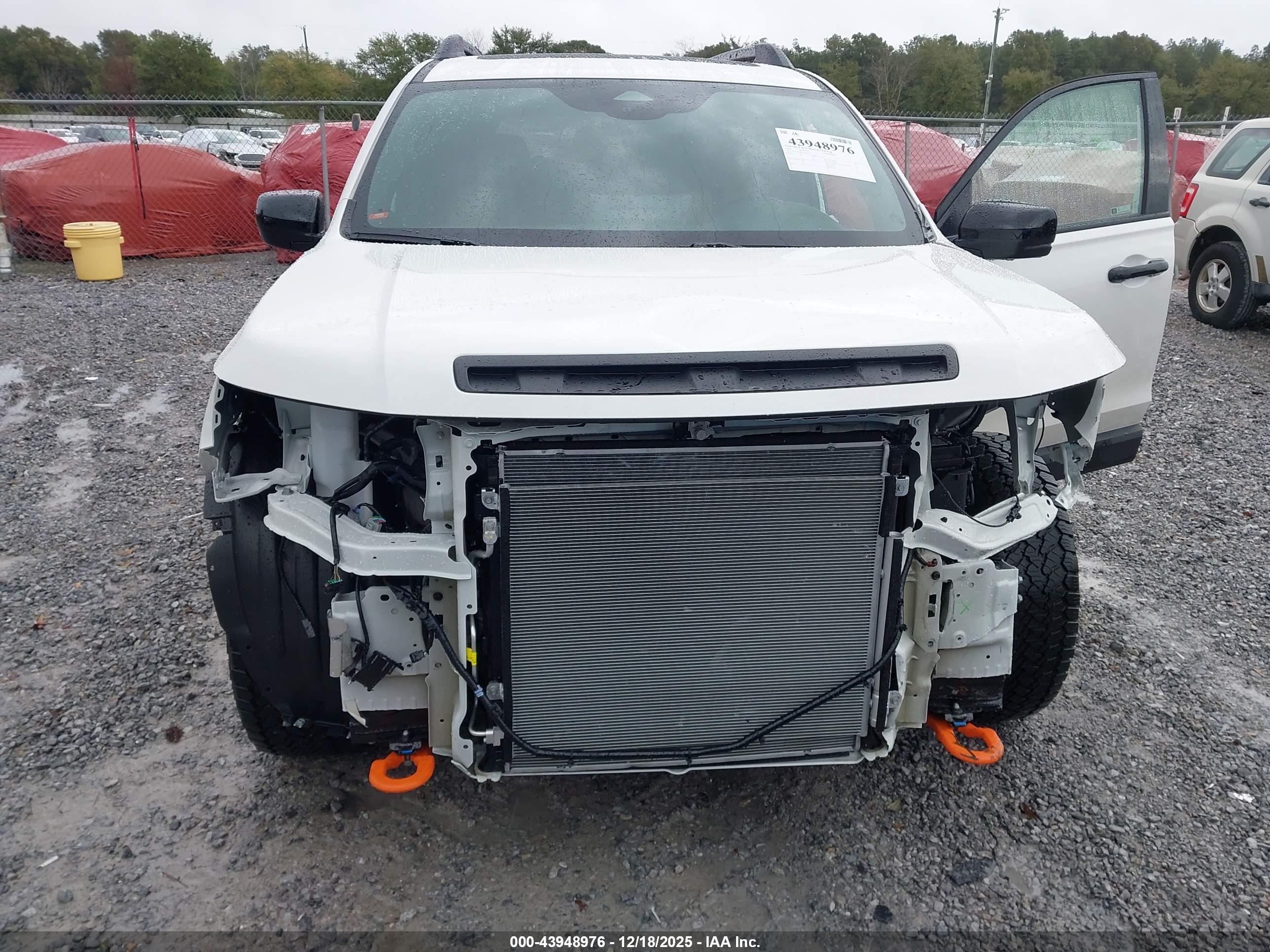 HONDA PASSPORT image 6