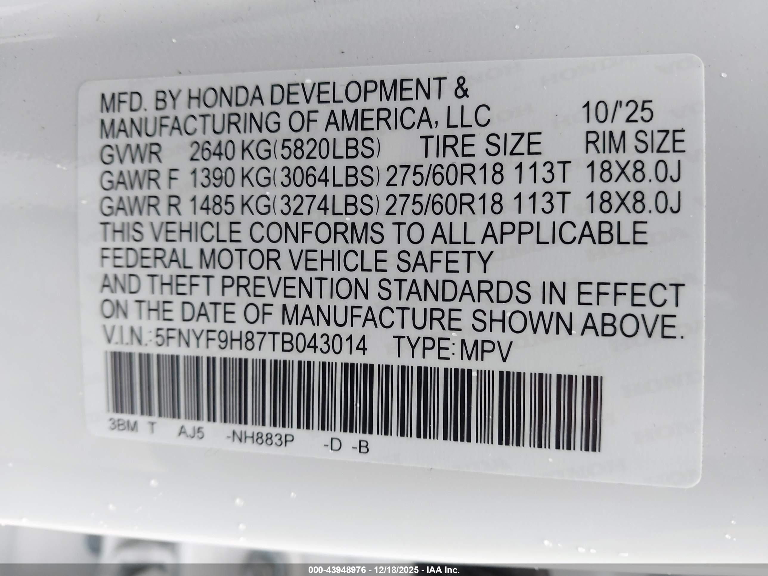 HONDA PASSPORT image 9