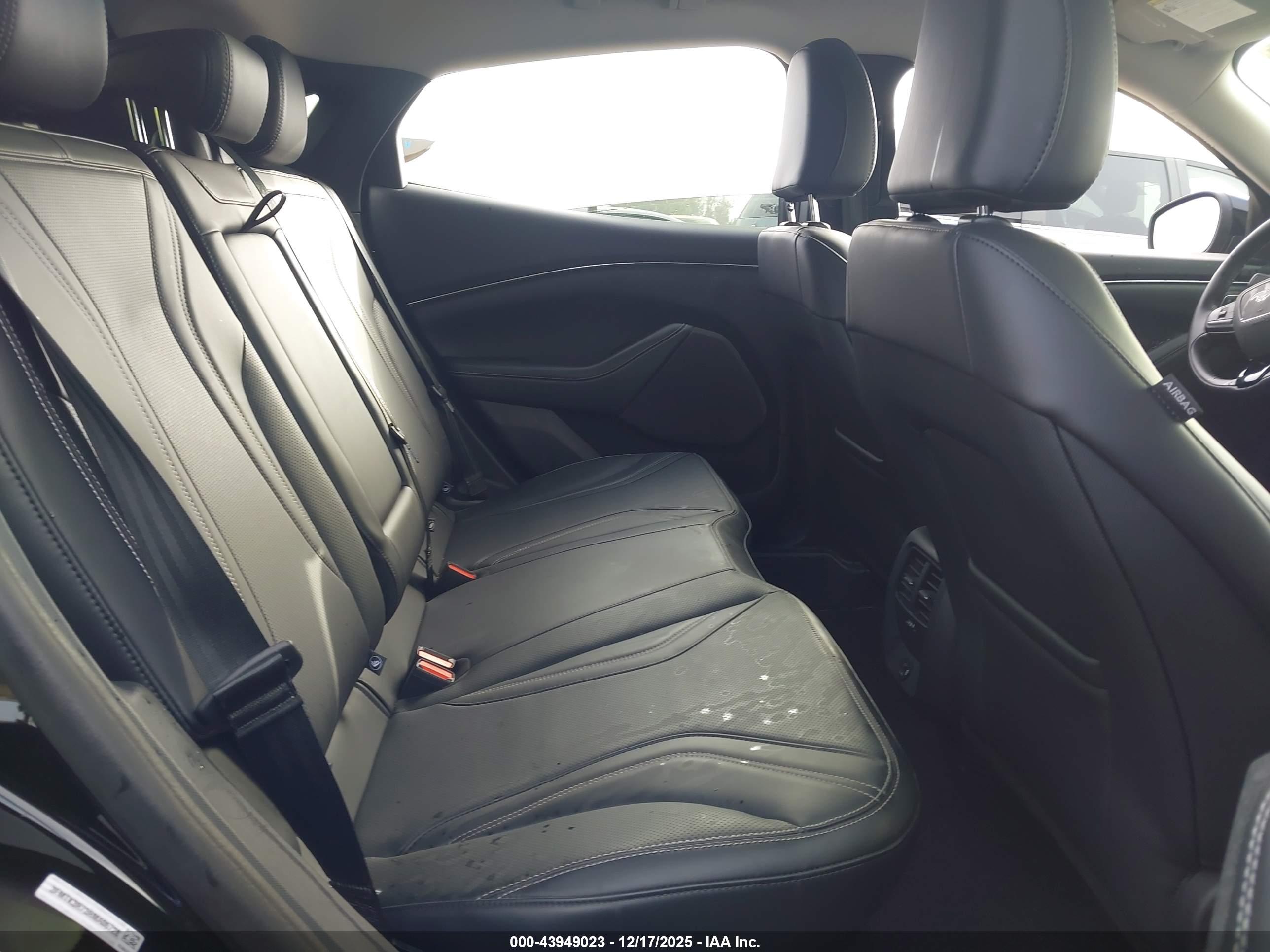 FORD MUSTANG image 8