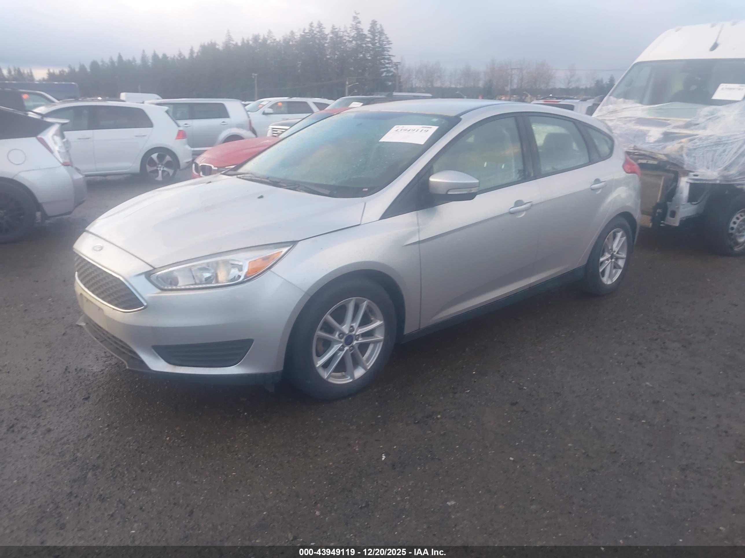 FORD FOCUS image 2