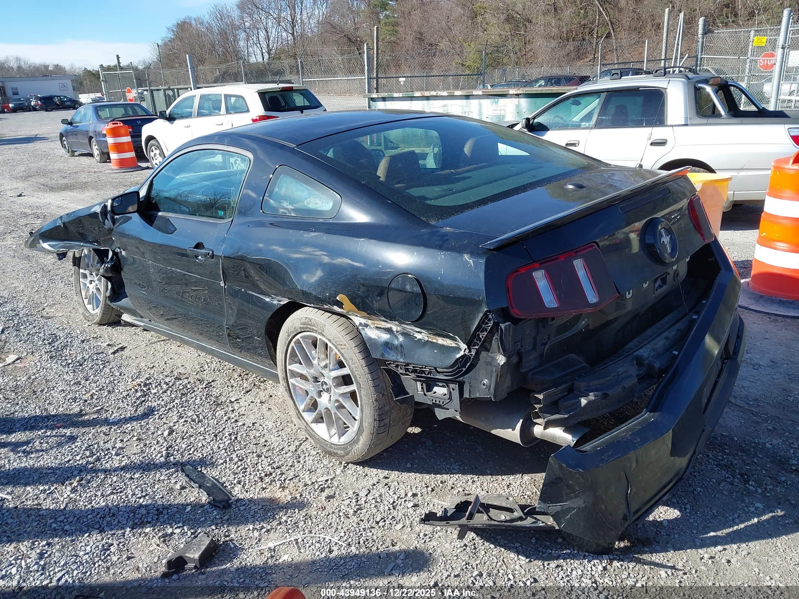 FORD MUSTANG image 3