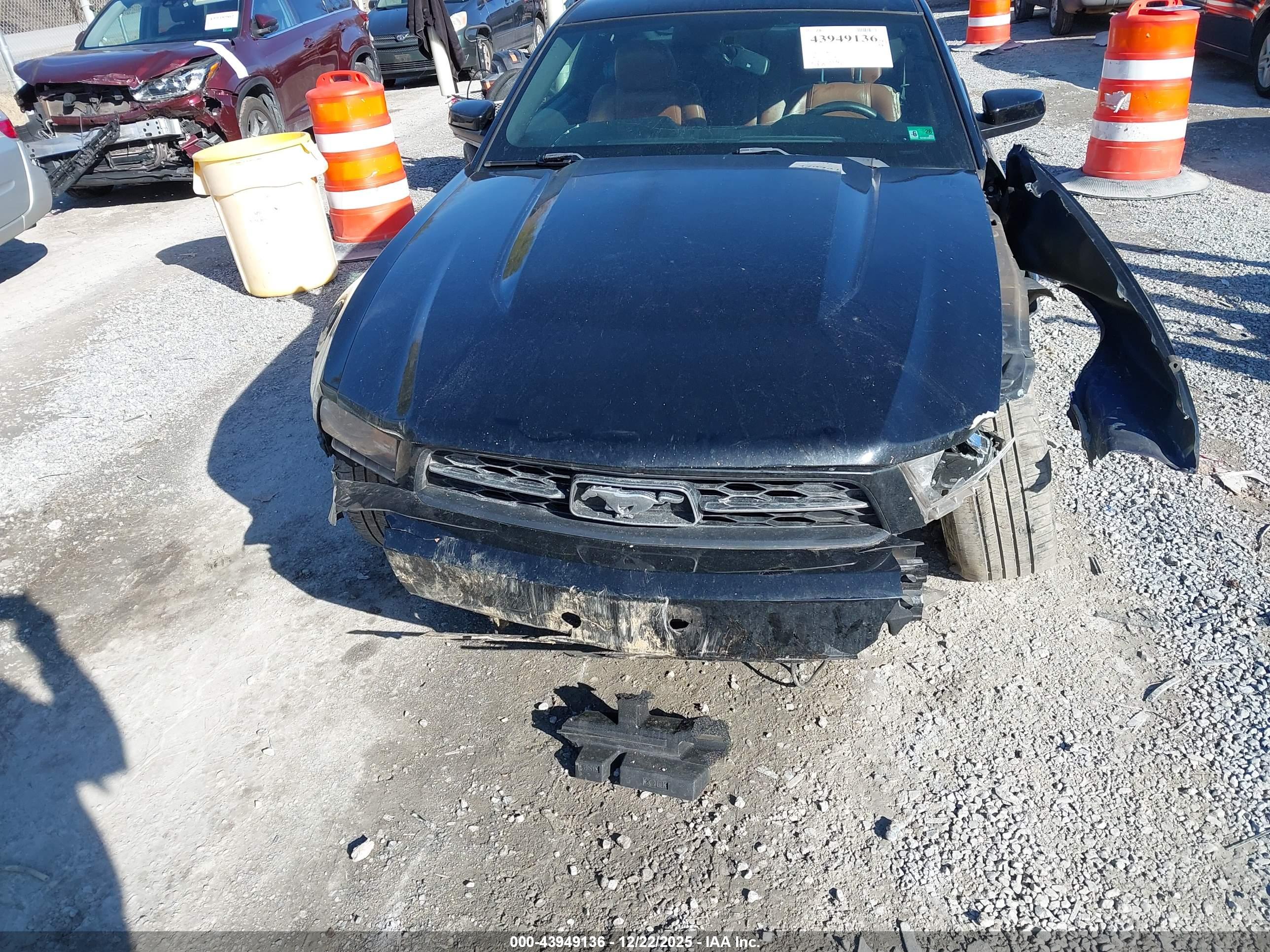 FORD MUSTANG image 6
