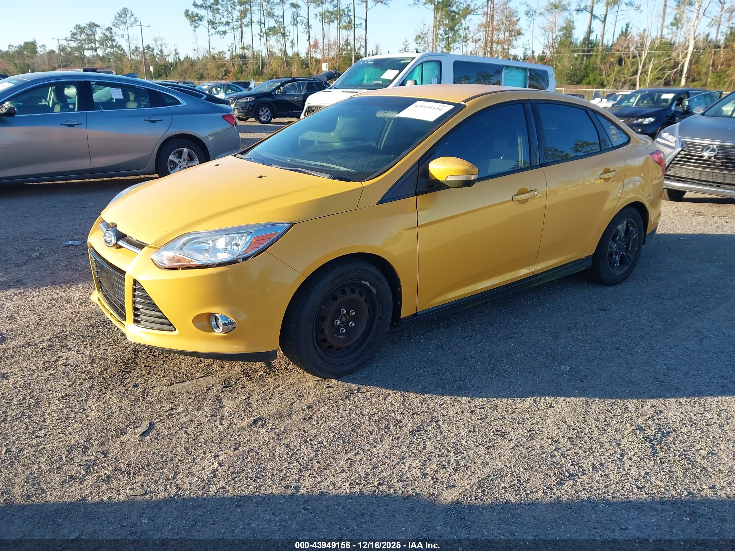 FORD FOCUS image 2