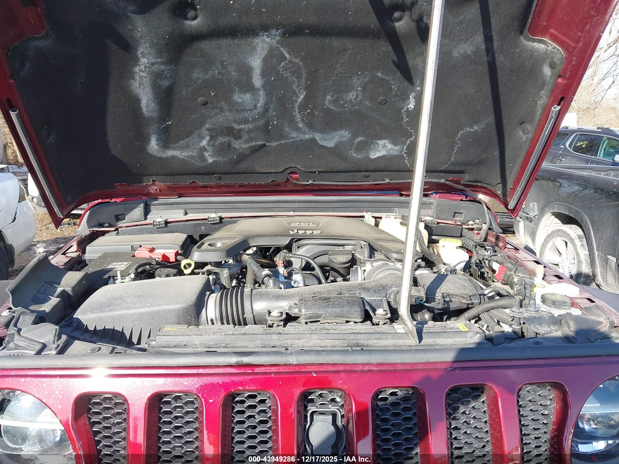 JEEP WRANGLER image 10