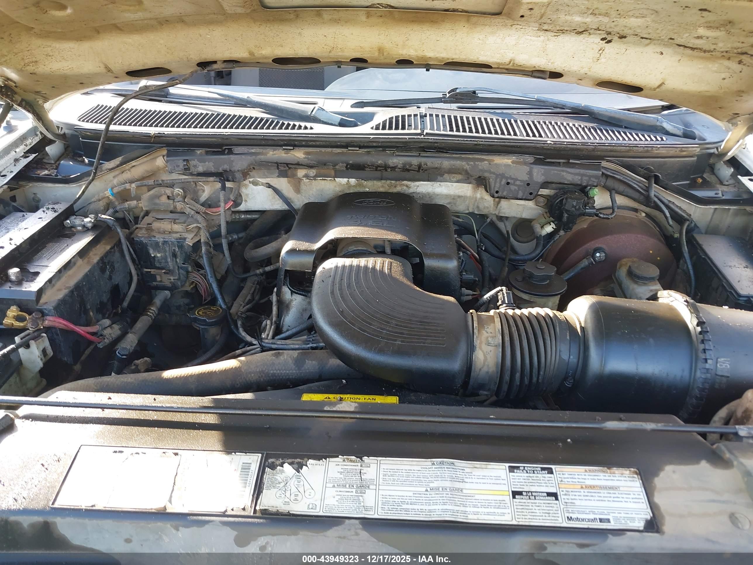 FORD F-150 image 10