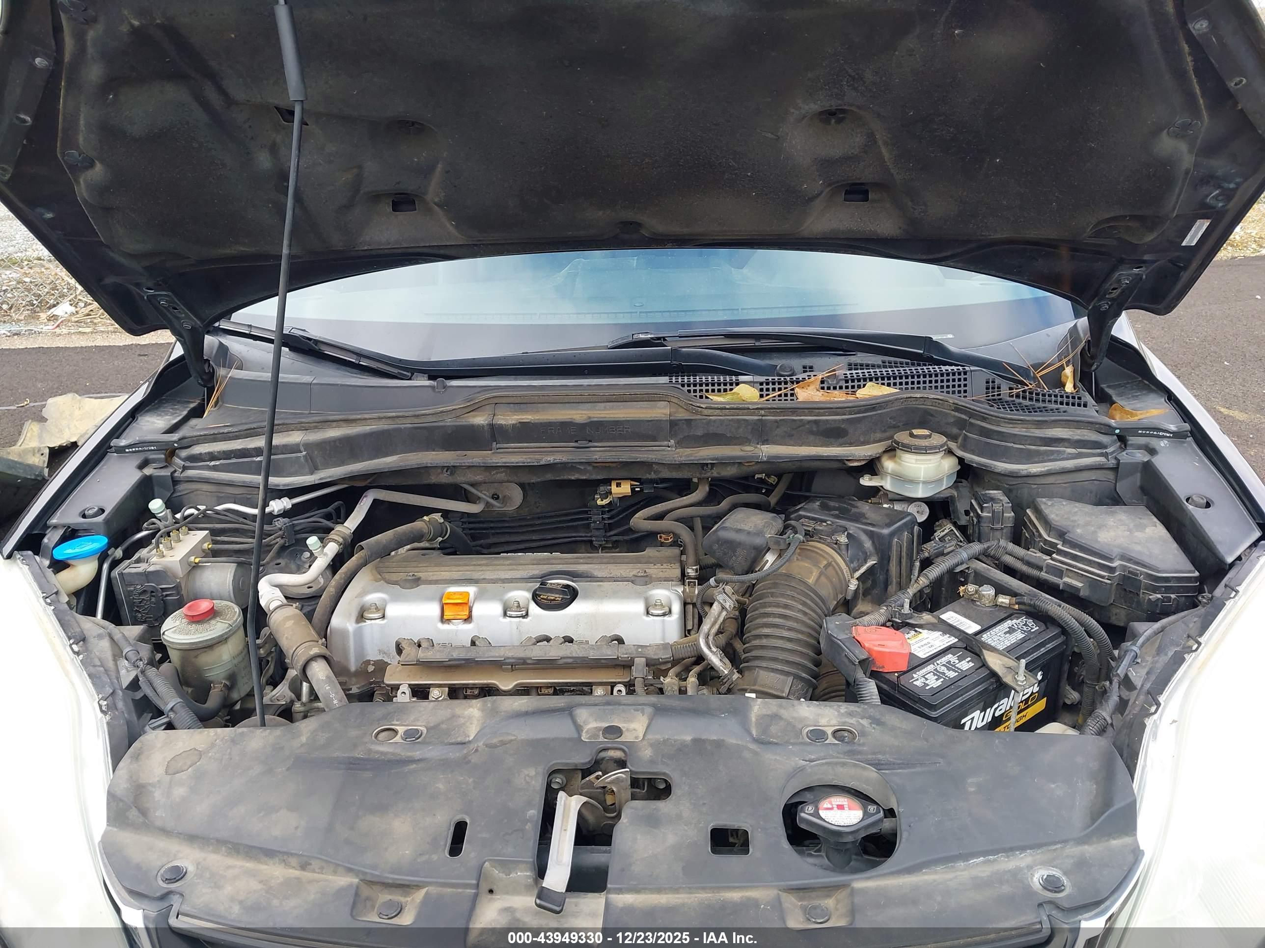 HONDA CR-V image 10