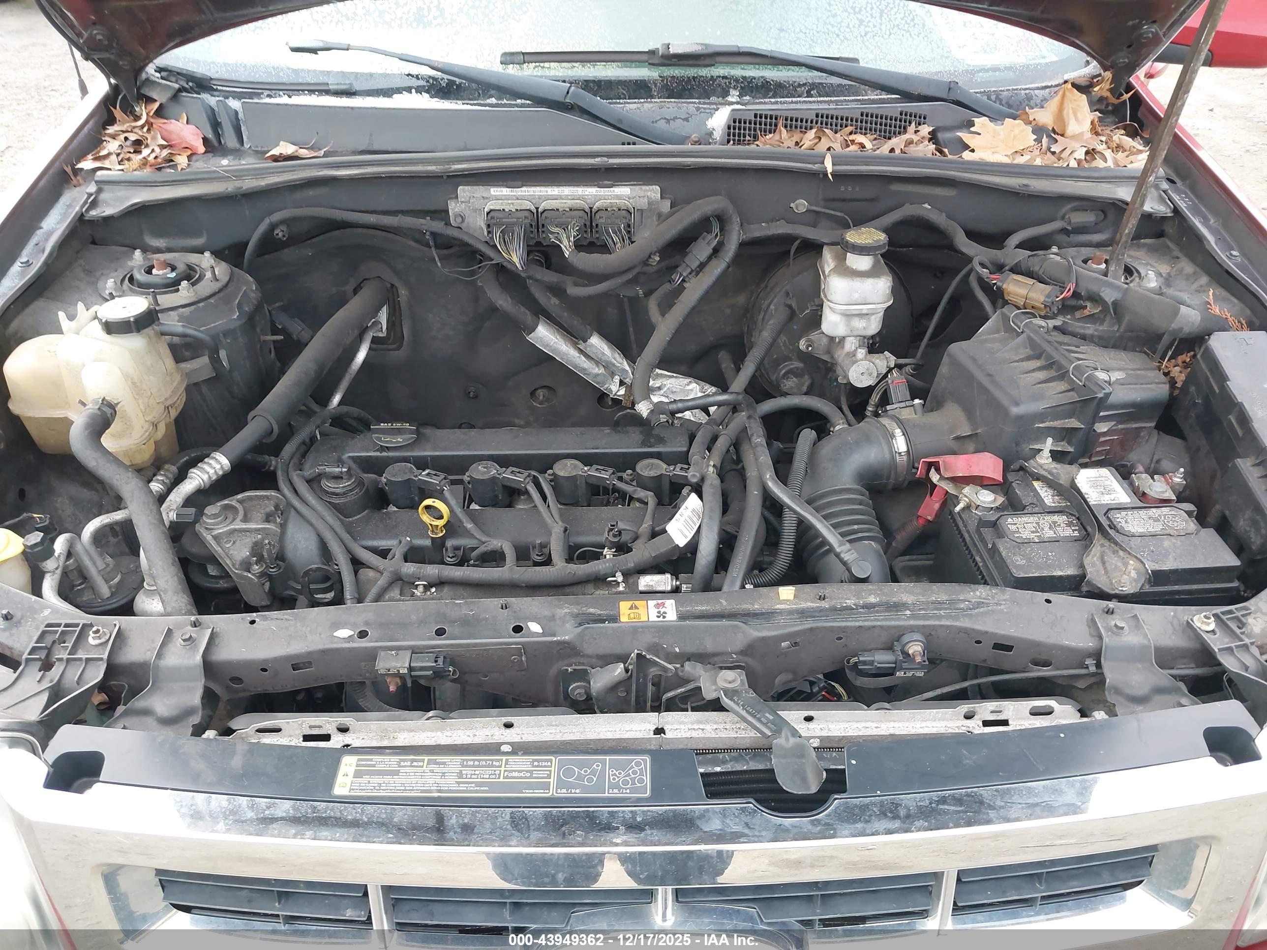 FORD ESCAPE image 10