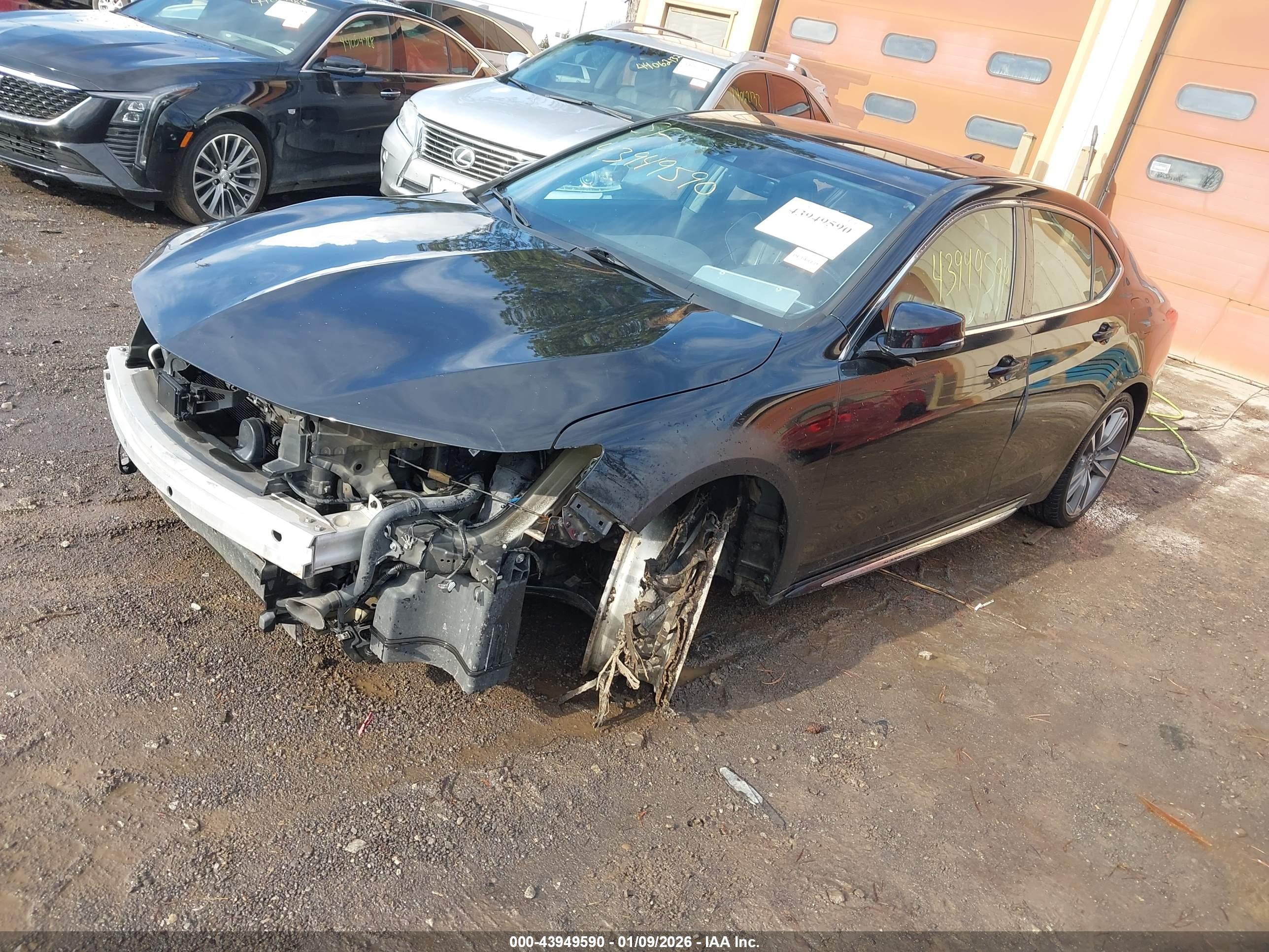 ACURA TLX image 2