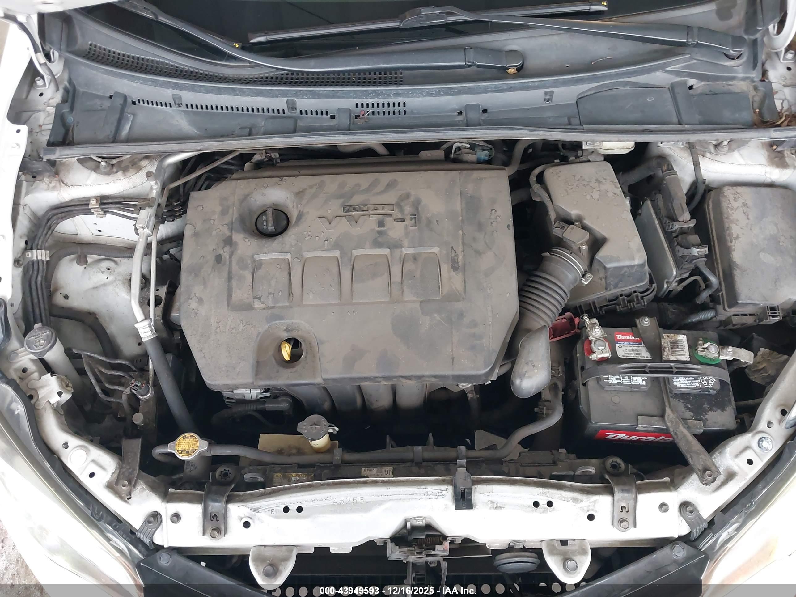 TOYOTA COROLLA image 10