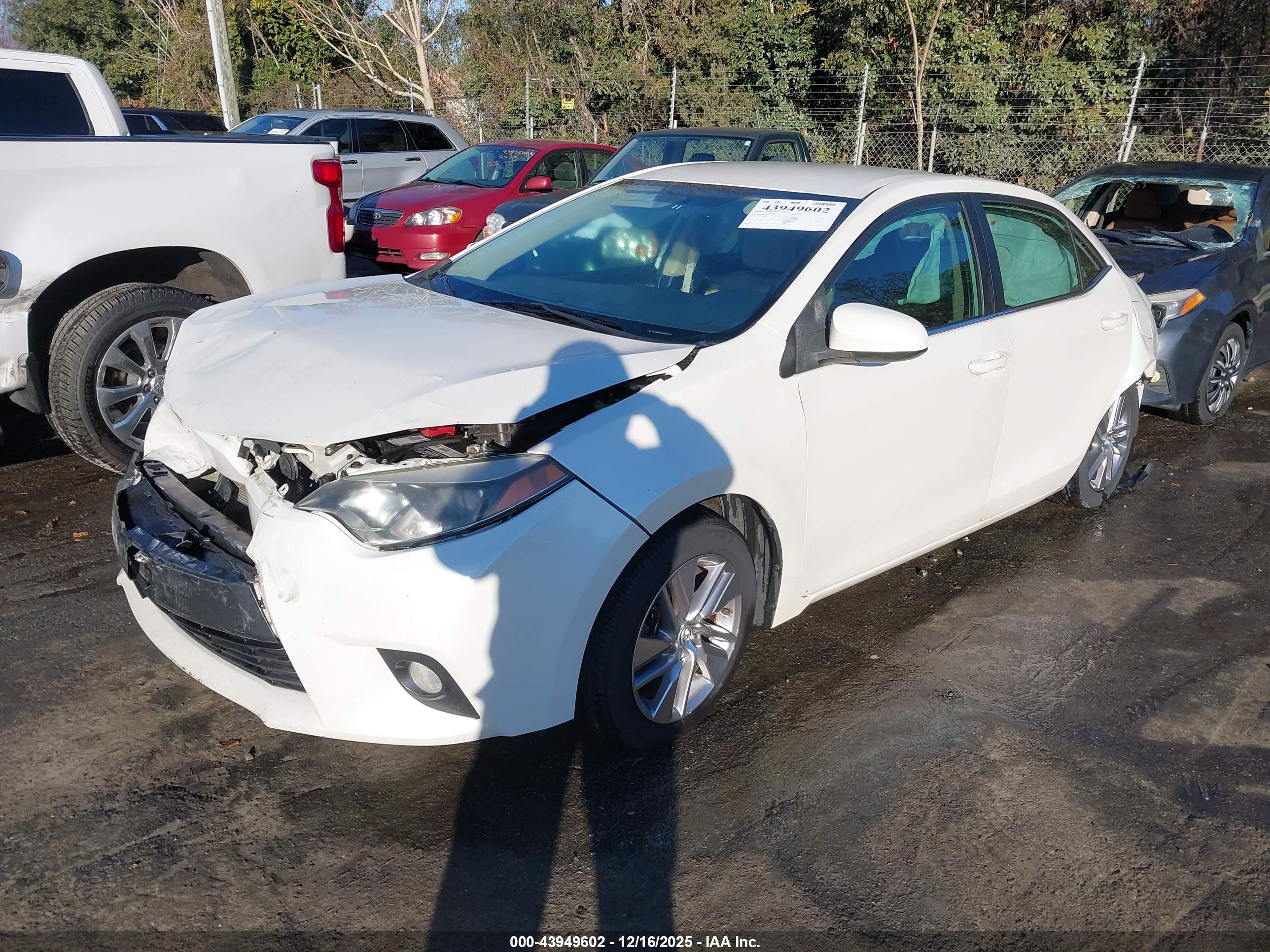 TOYOTA COROLLA image 2