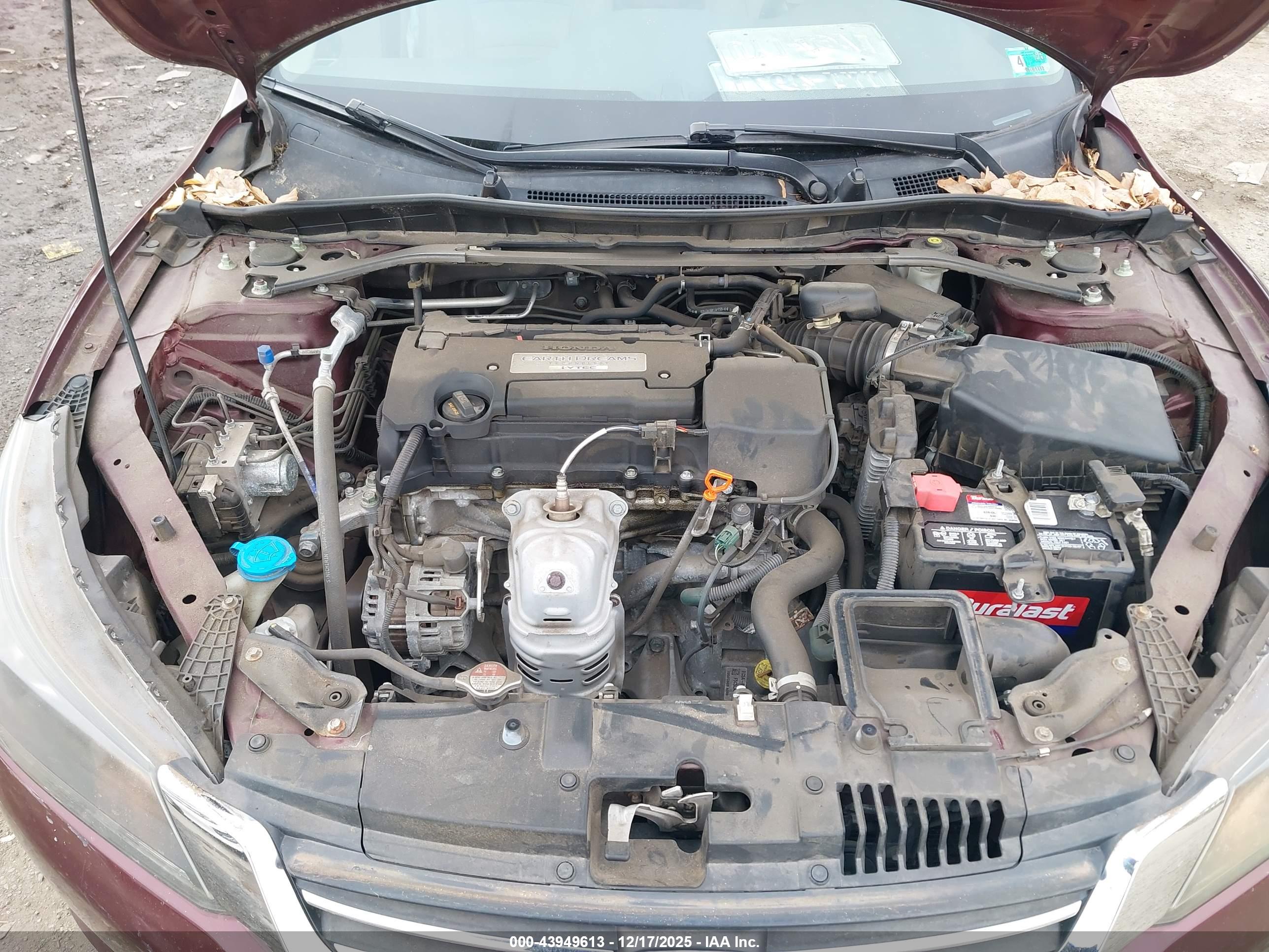HONDA ACCORD image 10