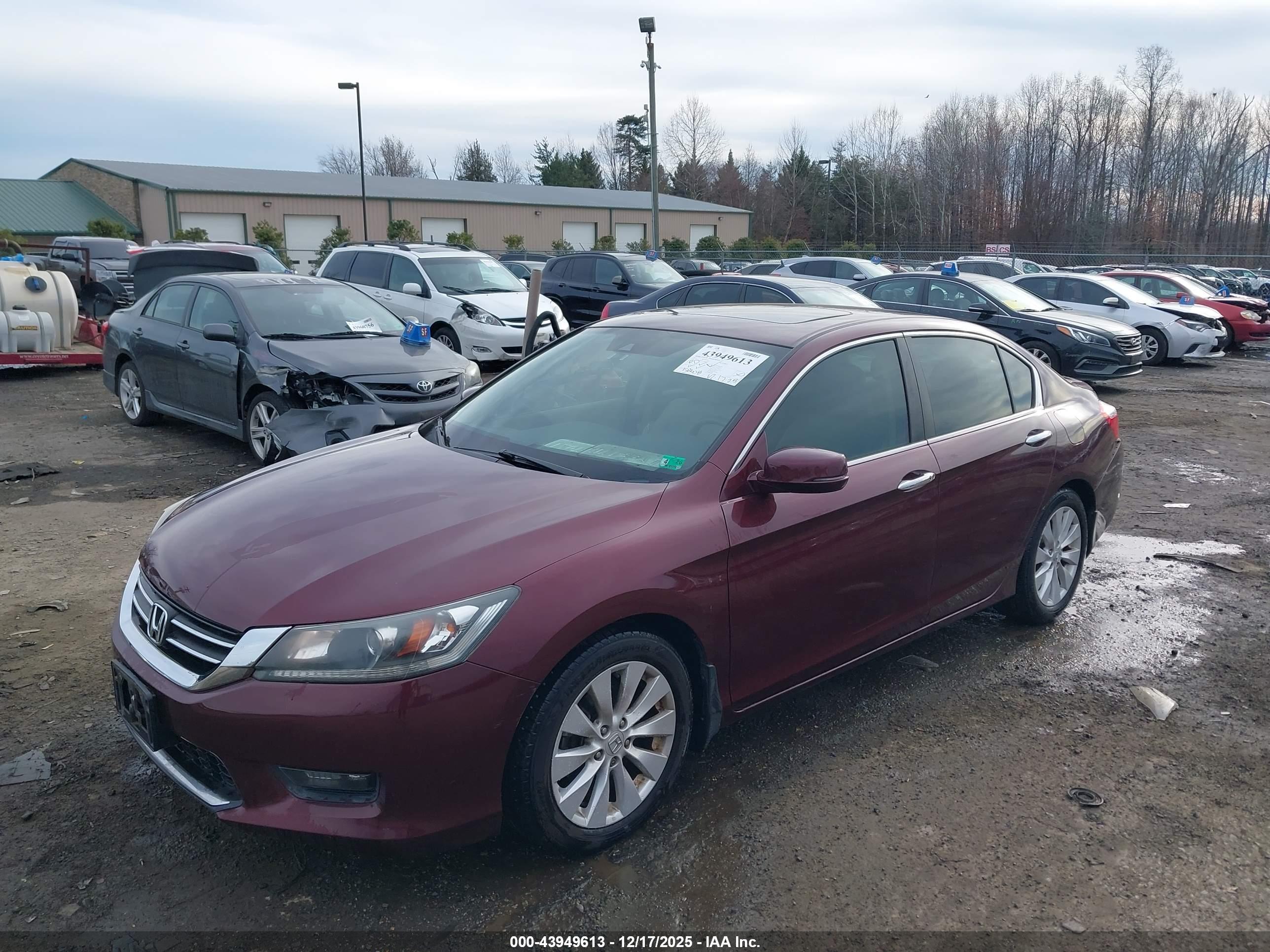HONDA ACCORD image 2