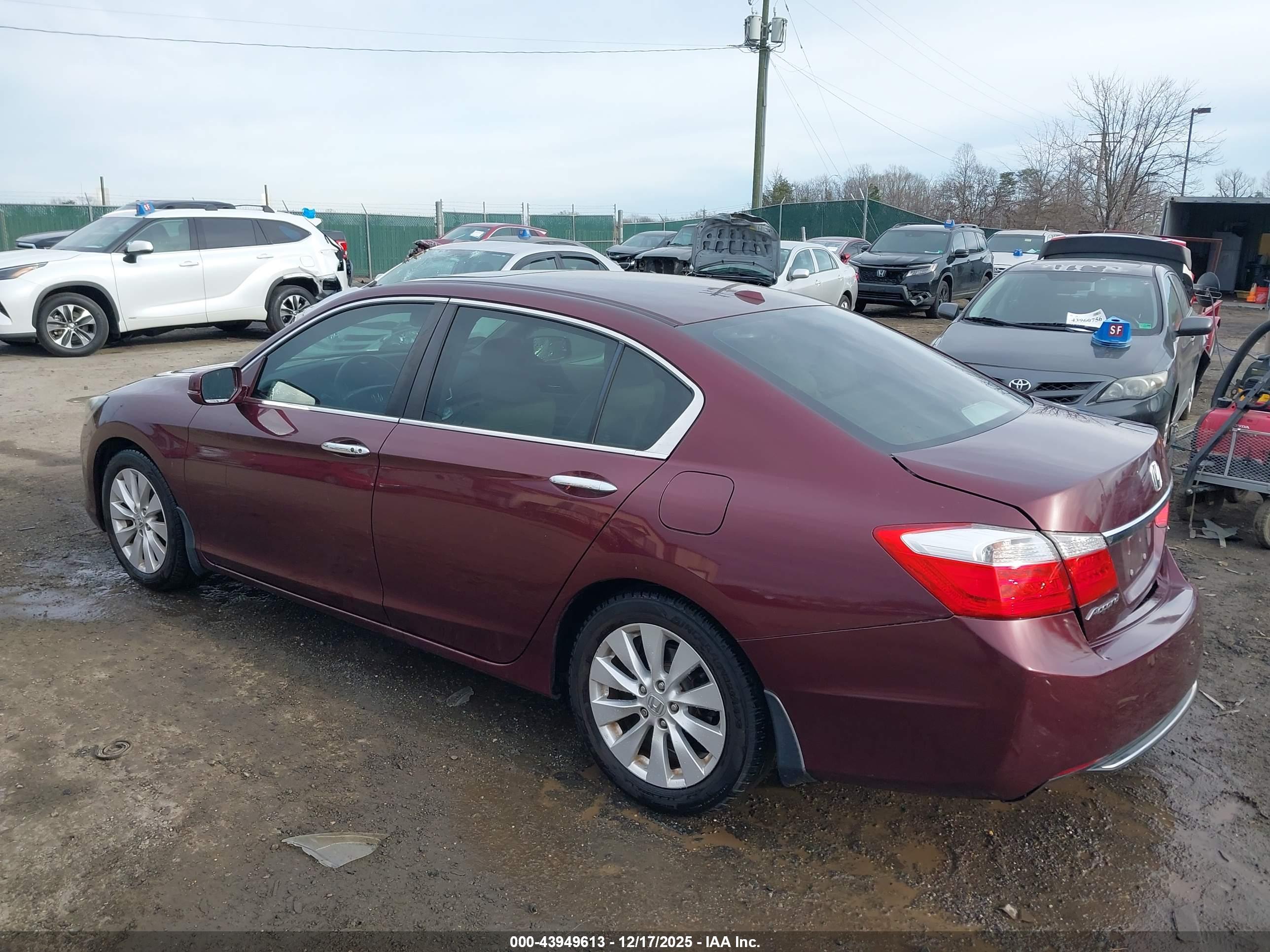HONDA ACCORD image 3