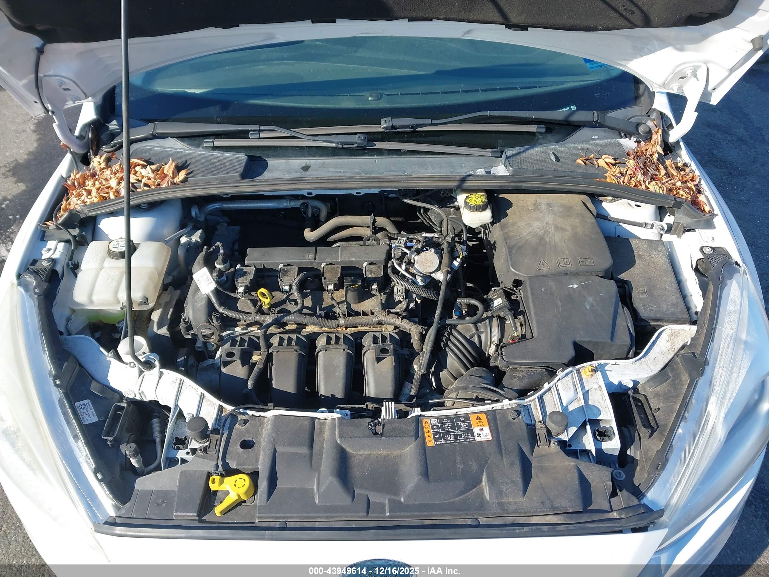 FORD FOCUS image 10