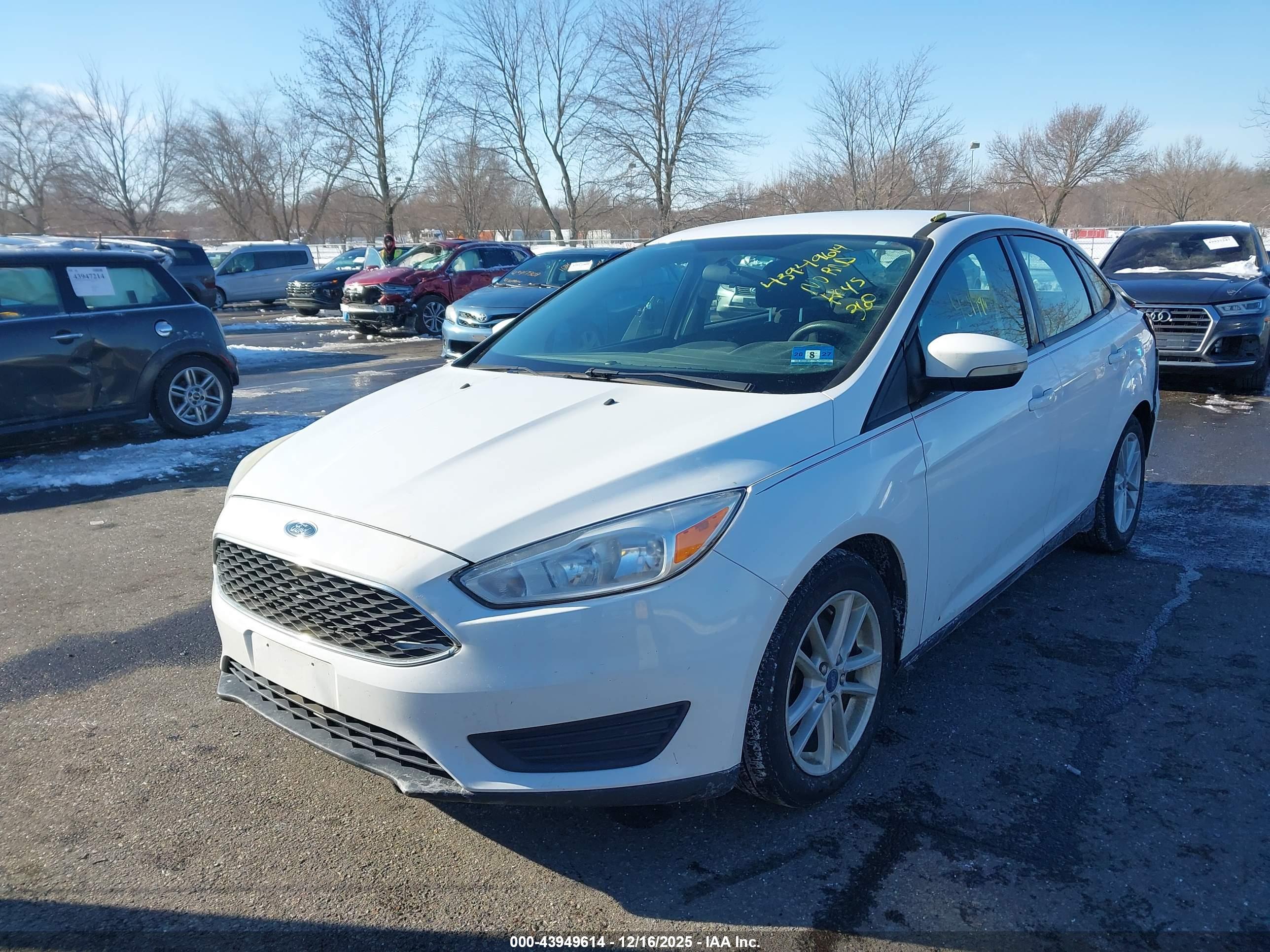 FORD FOCUS image 2