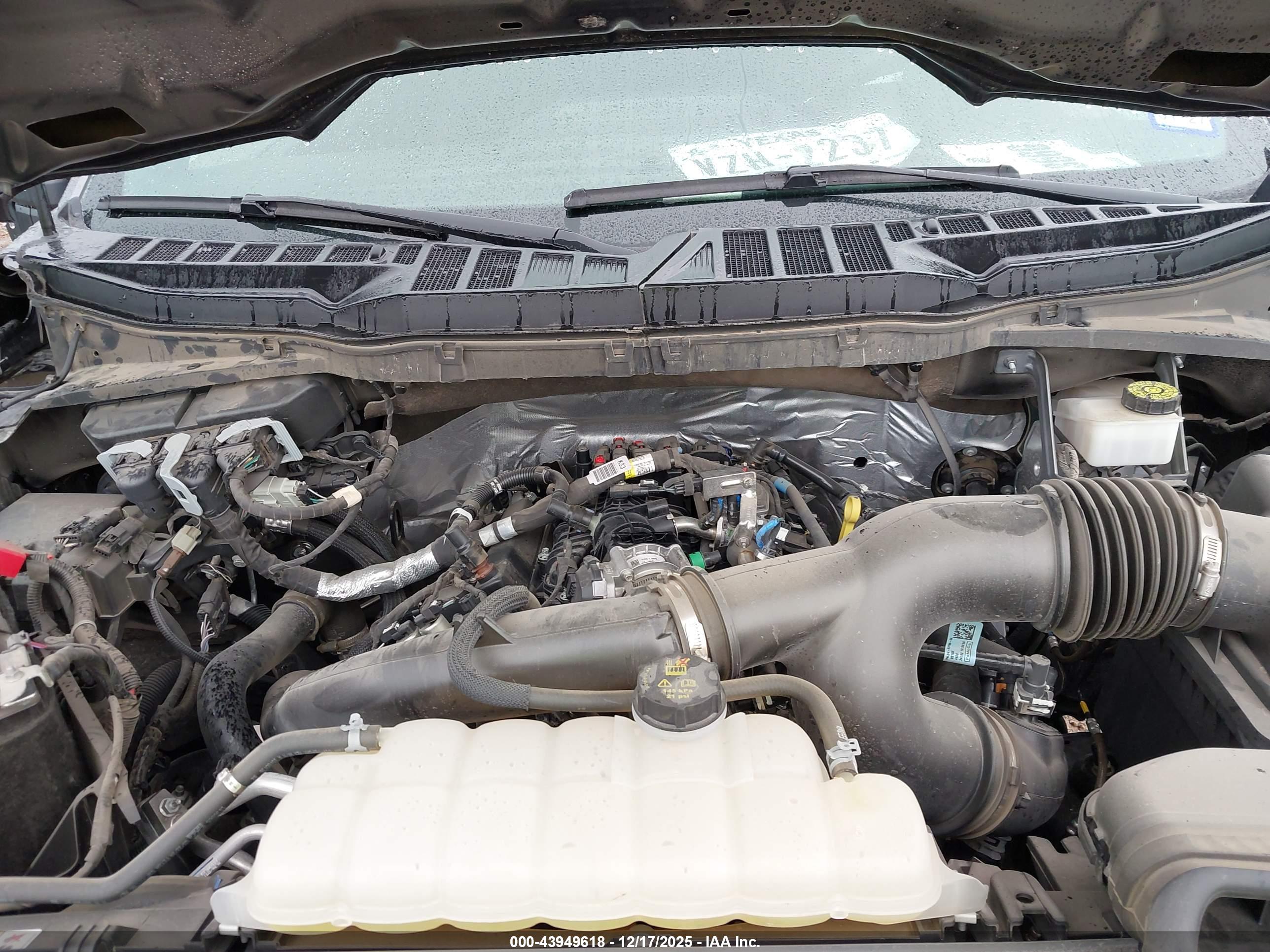 FORD F-150 image 10