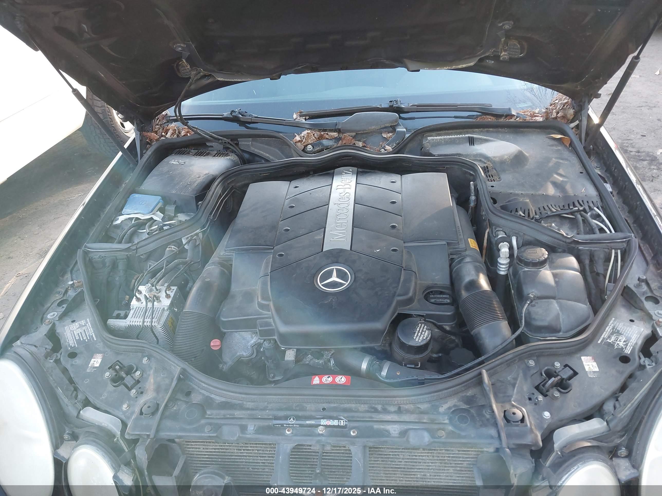 MERCEDES-BENZ E image 10