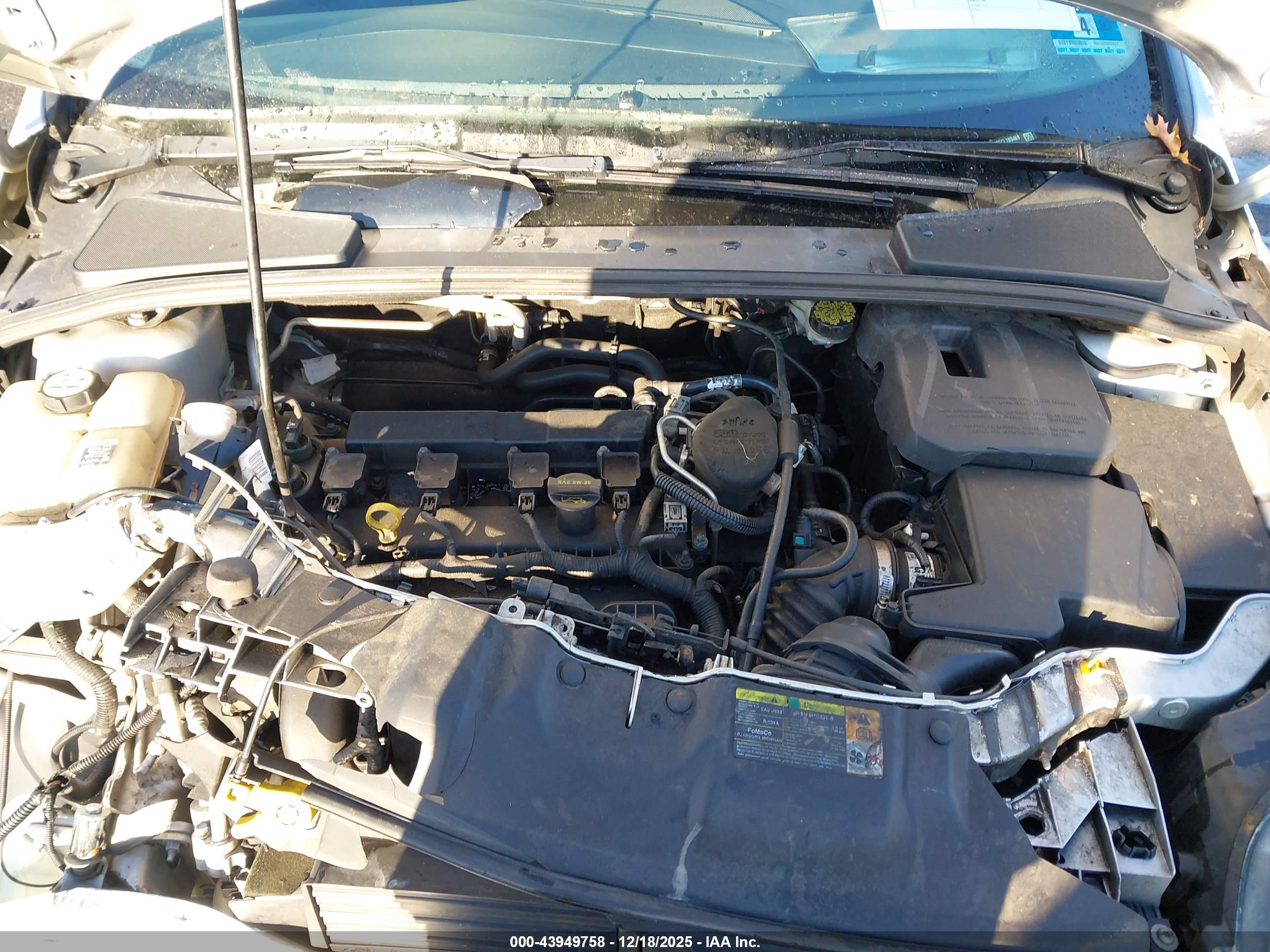 FORD FOCUS image 10