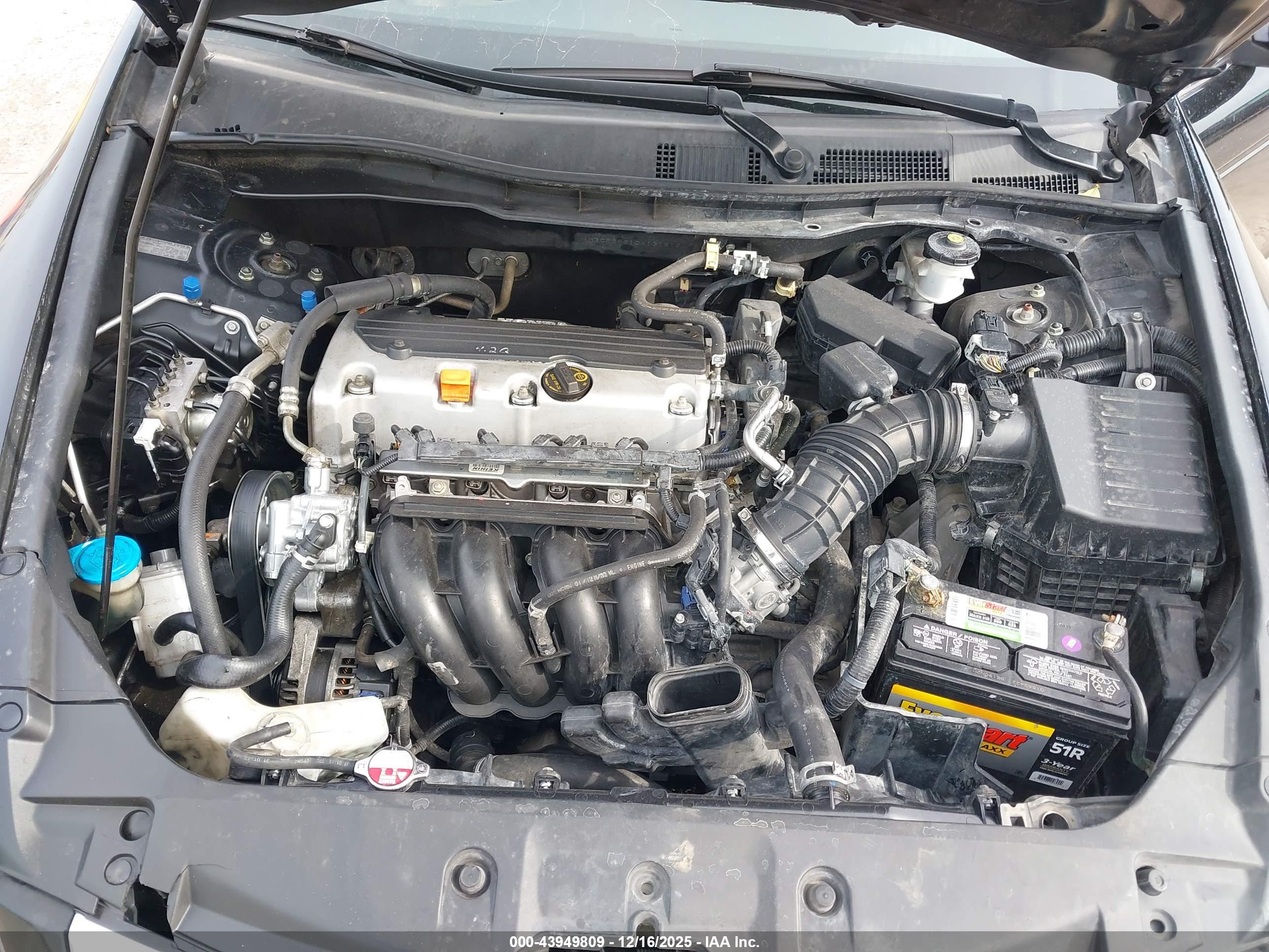HONDA ACCORD image 10