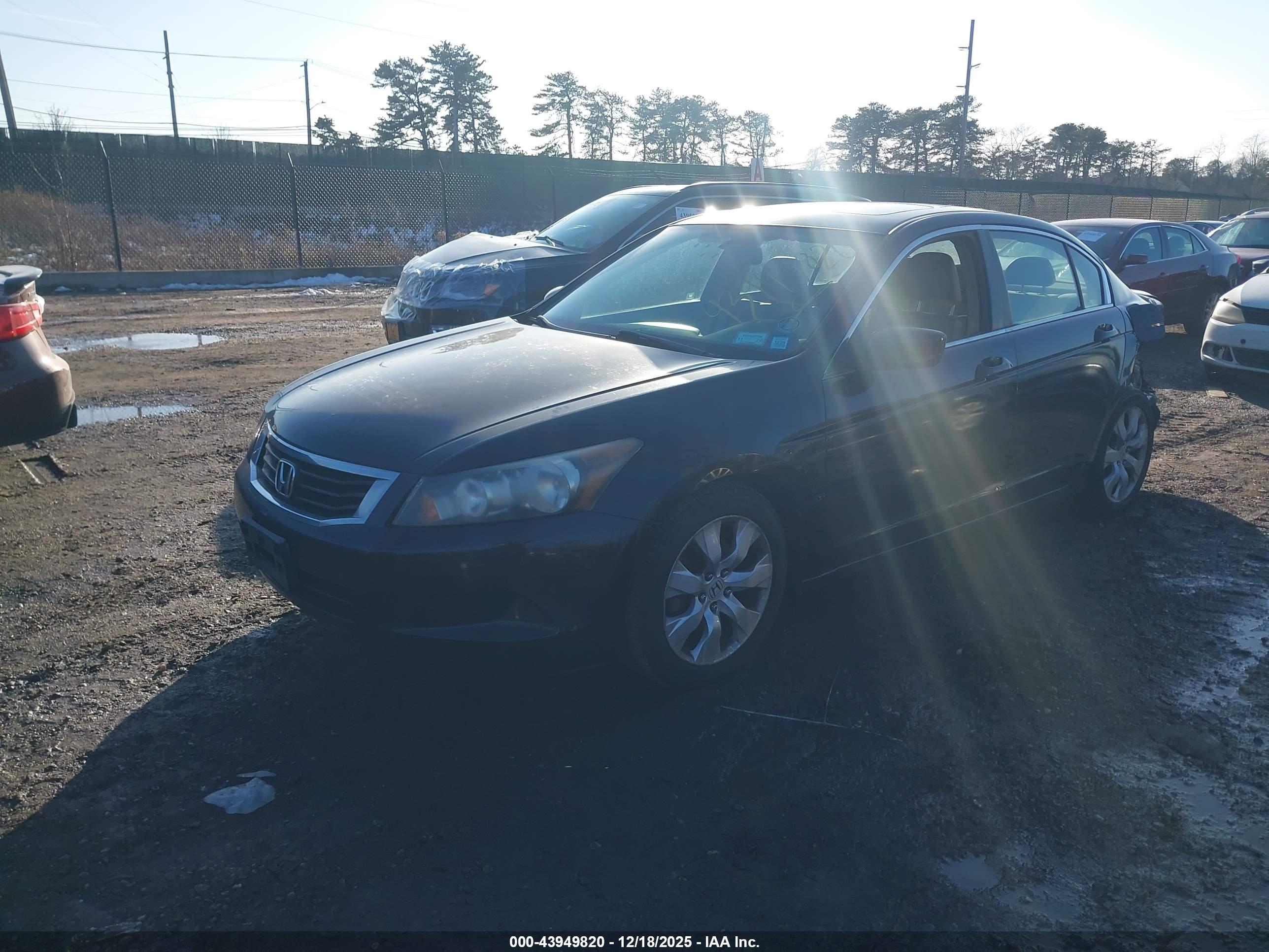 HONDA ACCORD image 2