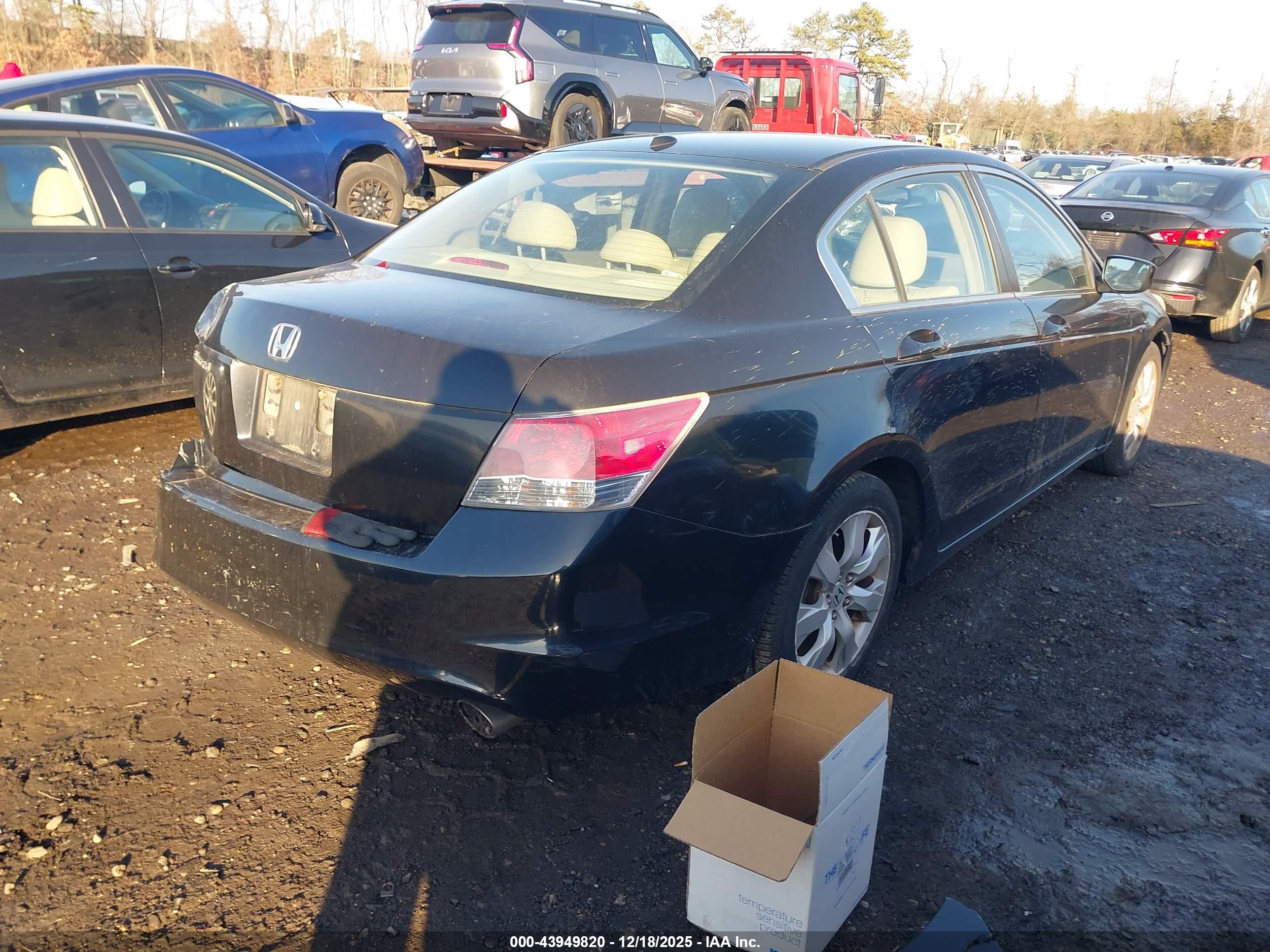 HONDA ACCORD image 4