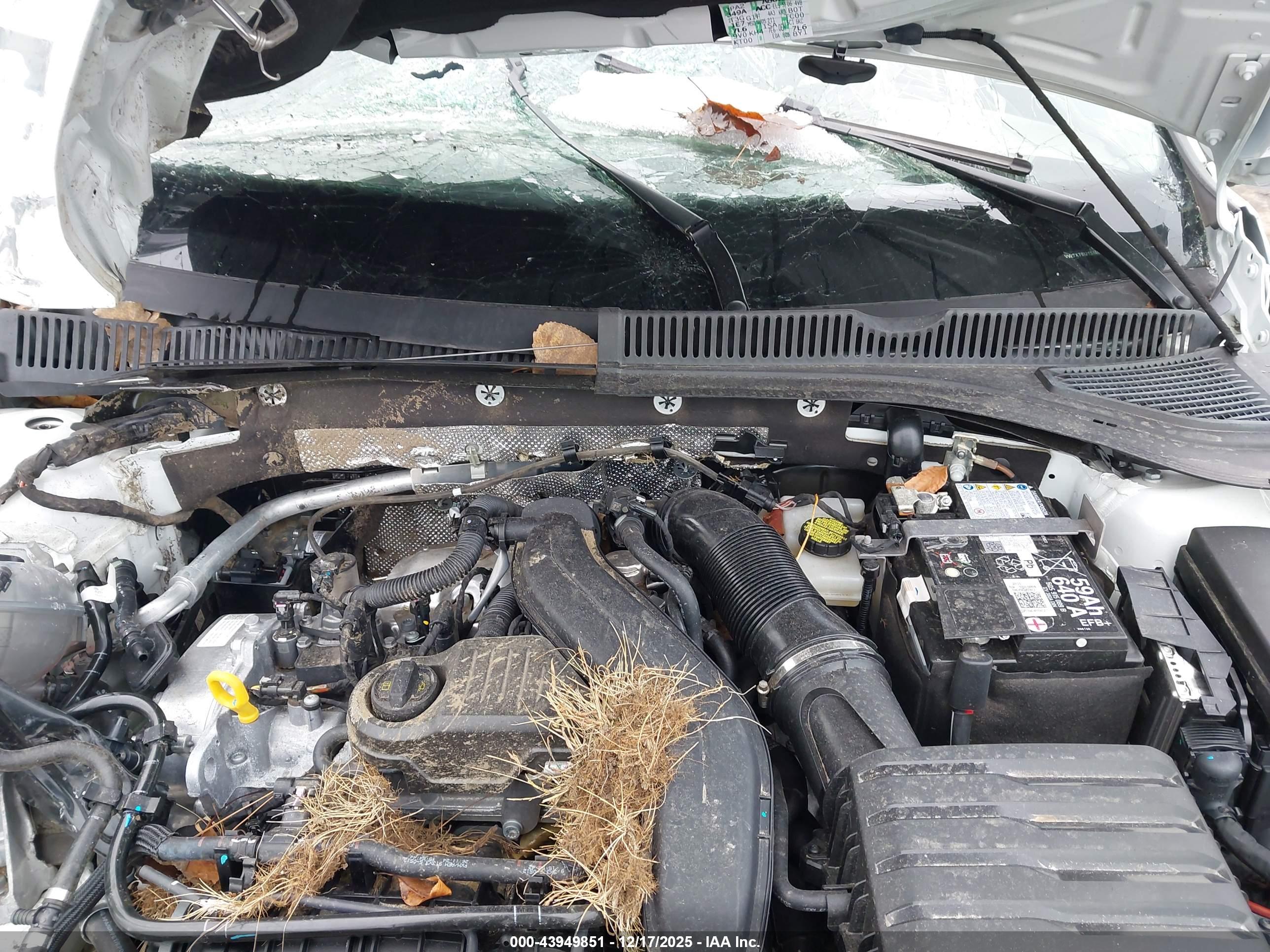 VOLKSWAGEN JETTA image 10