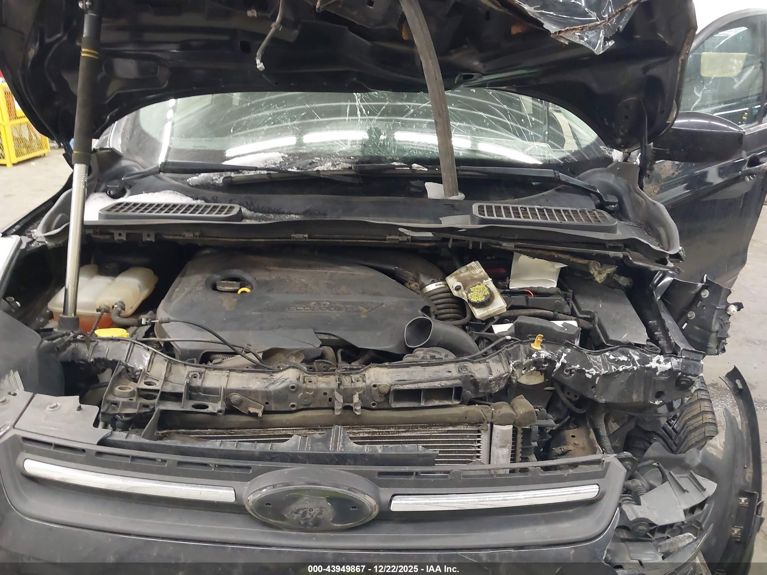 FORD ESCAPE image 10