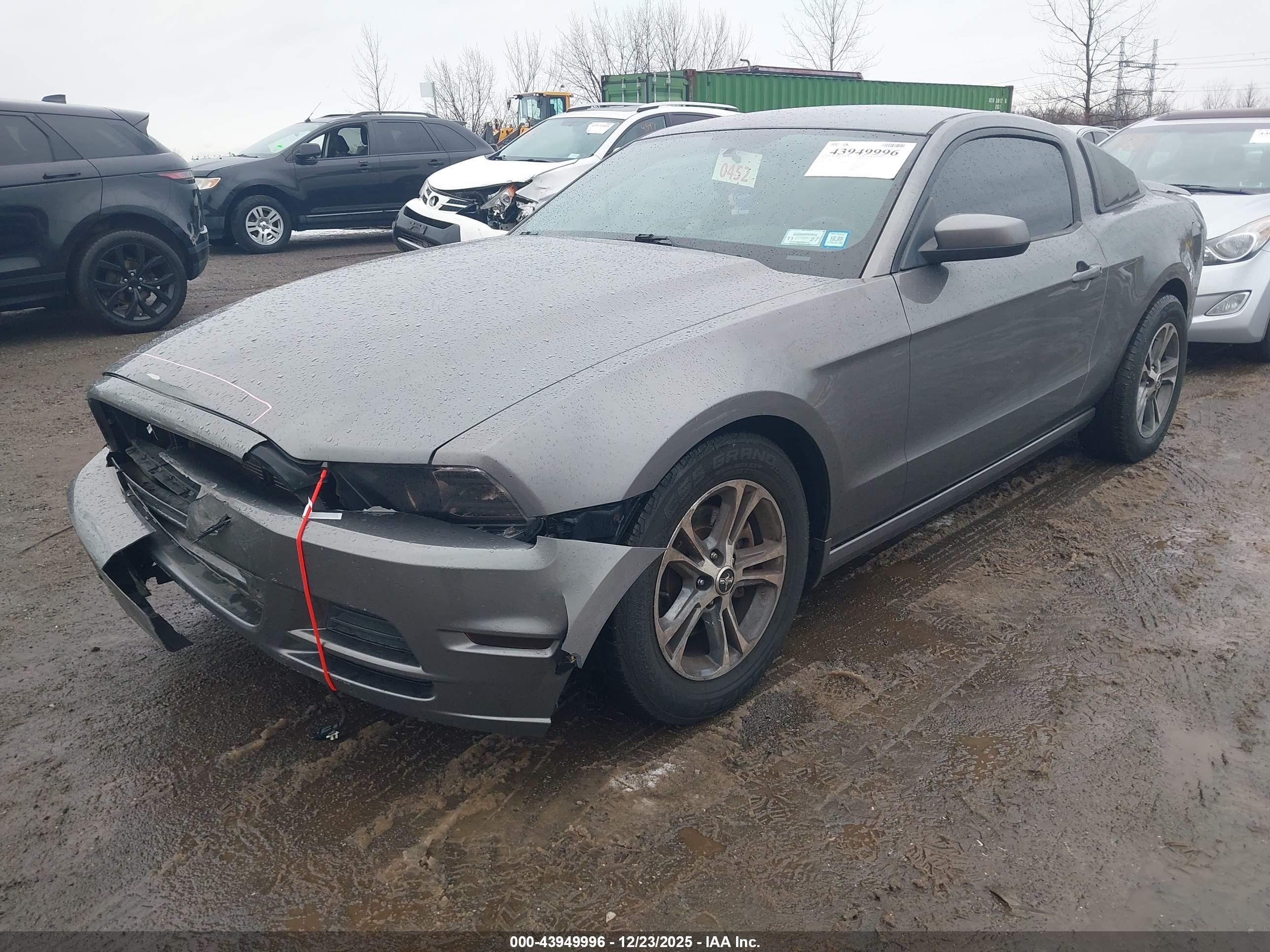 FORD MUSTANG image 2